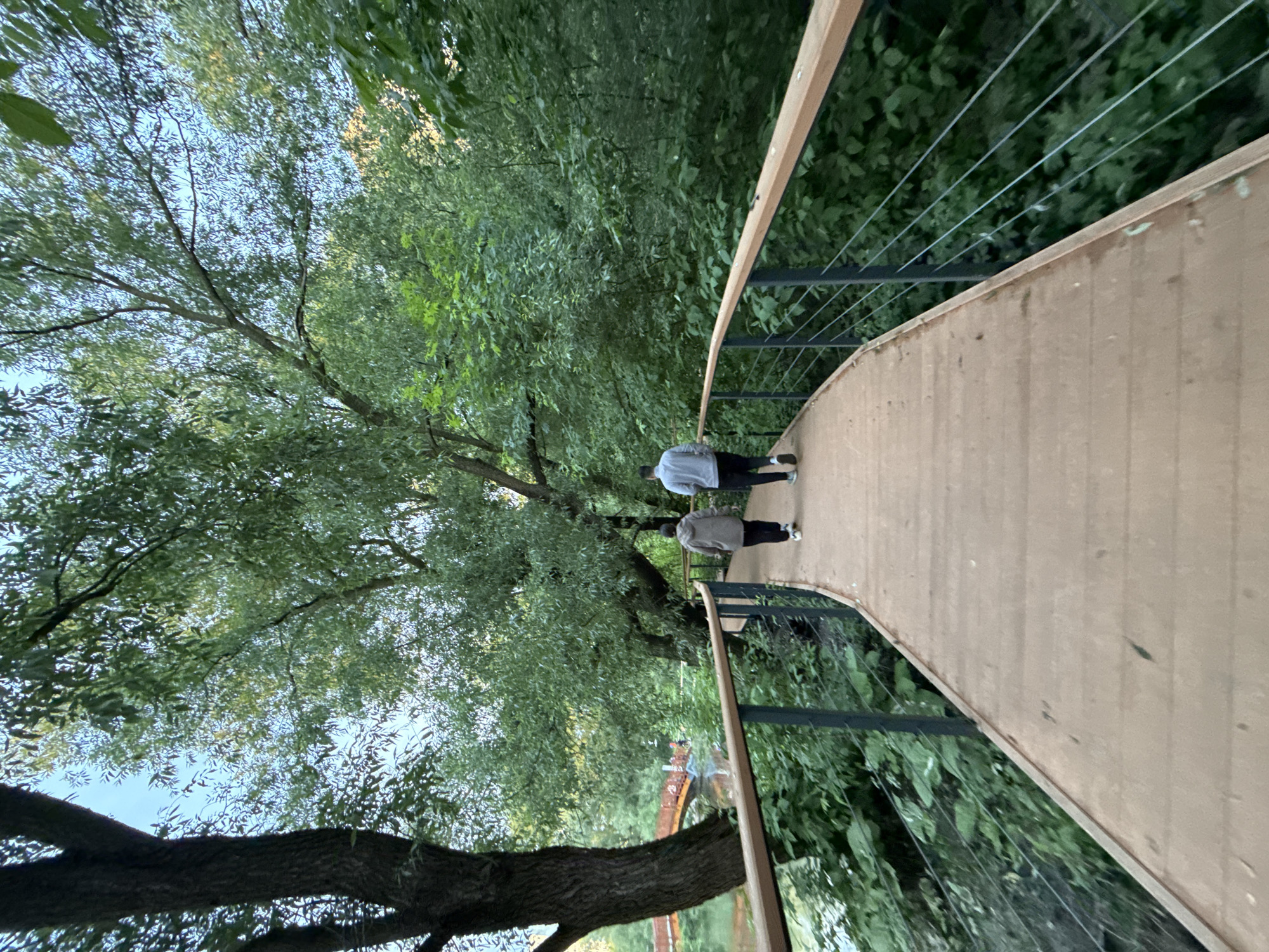 This image depicts a wooden walkway curving through a verdant park. Two individuals, a man and a woman, are walking away from the camera on the walkway. The man is wearing a light-colored jacket and dark pants, while the woman is wearing a darker jacket and pants. The walkway is bordered by a metal railing with wooden tops. Lush green trees and foliage surround the walkway, suggesting a natural setting. In the background, a red arched bridge is visible over a body of water. The scene appears to be set in the evening, with soft lighting. This image was captured in Losiny Ostrov National Park, Moscow, Russia.