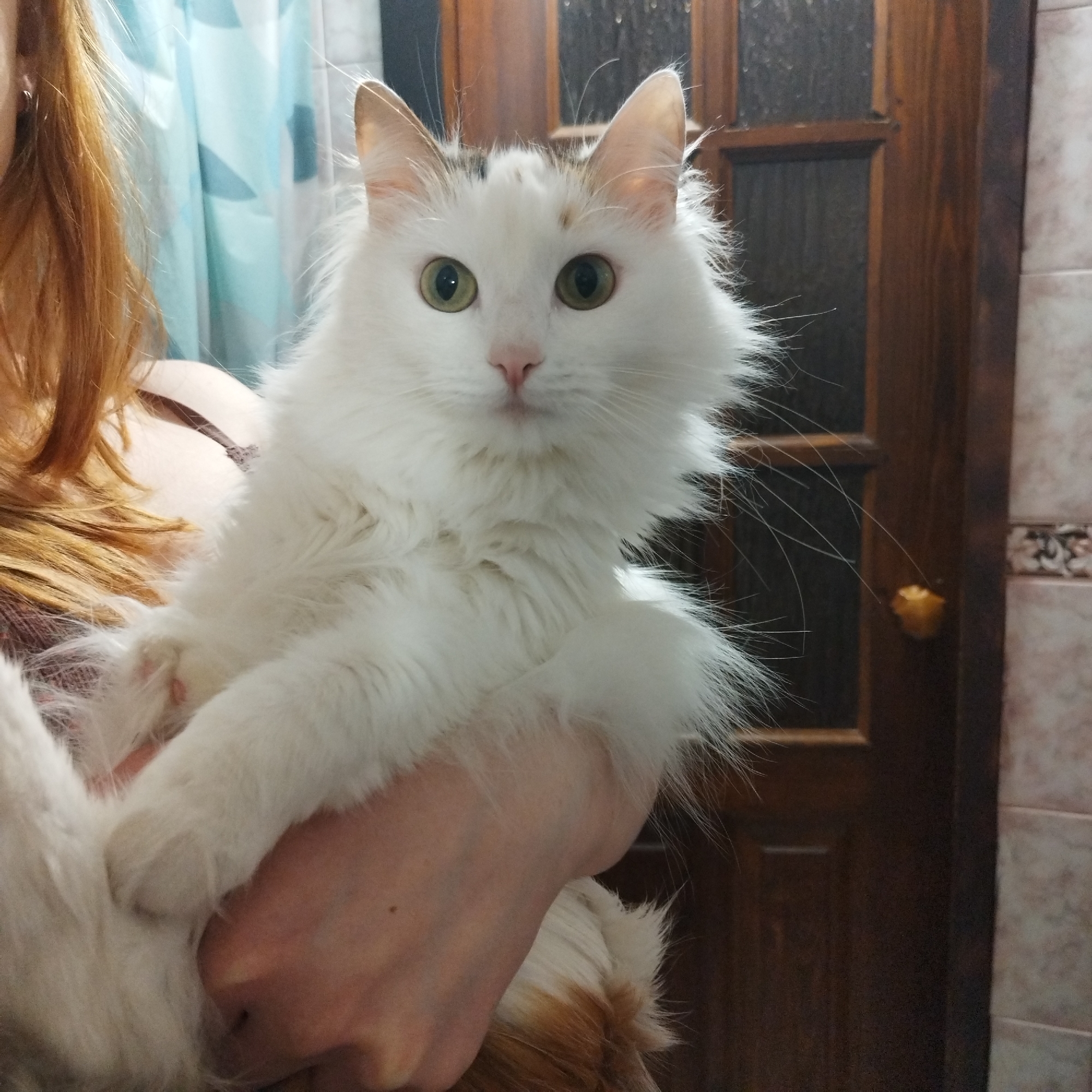 A white cat with green eyes is being held by a person with red hair. The cat is the central focus, looking directly at the camera. The person holding the cat is only partially visible, with their arm and a bit of their hair showing. In the background is a dark wooden door and a patterned blue and white curtain. The tile pattern on the wall also suggests the setting might be indoors, possibly in a bathroom or hallway. The image provides no data to support the location being Yekaterinburg, Russia.