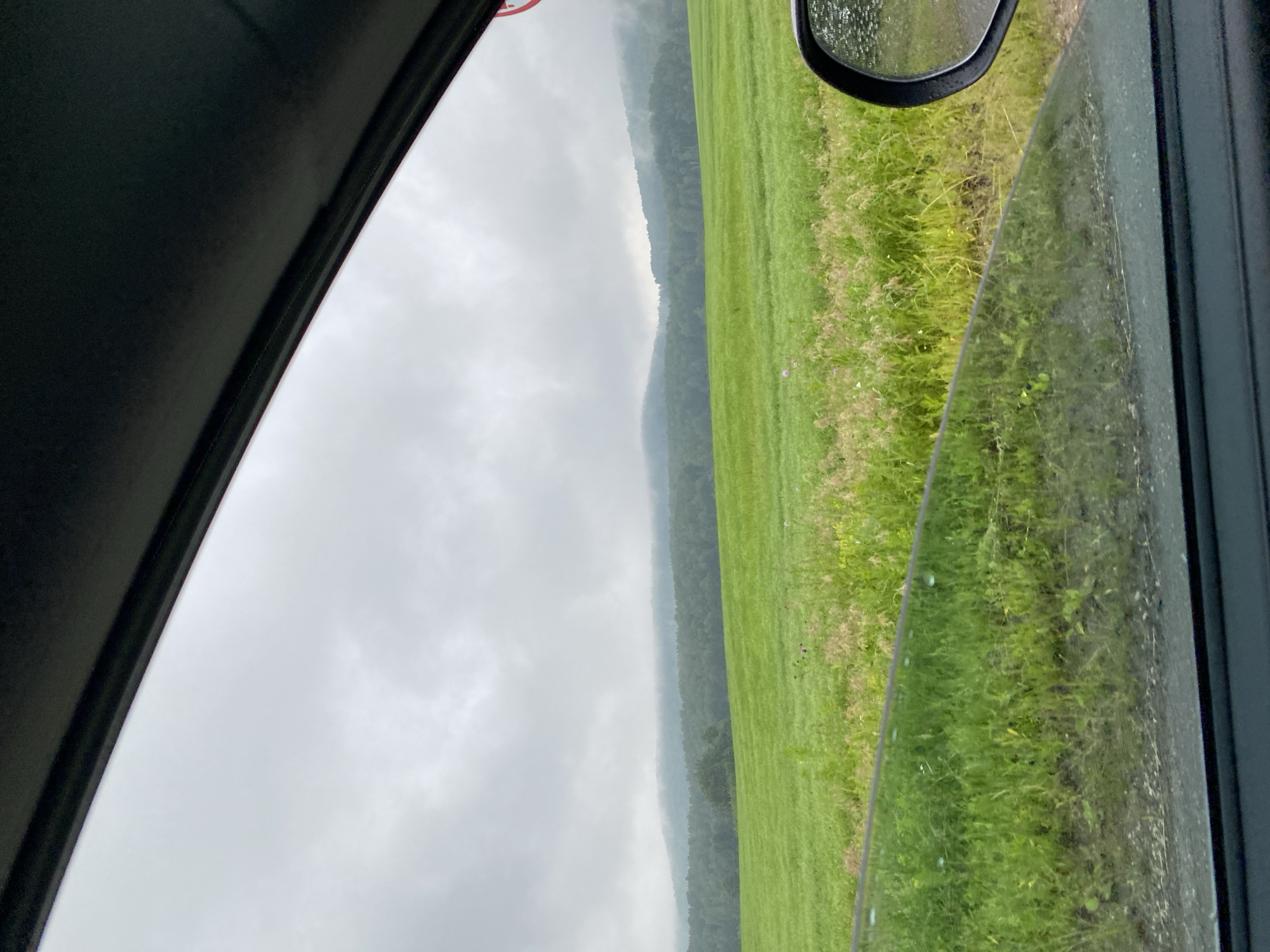 The image depicts a view through a car window of a rural landscape under an overcast sky. In the foreground, a section of the car's interior is visible, including the black frame of the window and a portion of the side mirror, which shows reflections of raindrops. The window itself has some moisture on it. Beyond the window, a vibrant green field stretches into the distance, dotted with patches of taller, dry grass and some sparse vegetation. In the mid-ground, a dense forest covers rolling hills, with the trees fading into the misty, grey sky. The overall impression is one of a subdued, damp atmosphere, typical of a cloudy day in a natural setting. There are no people or animals visible in the scene, nor any specific identifying landmarks that would pinpoint it to the city of Берёзовая Роща, Russia, or any other location.