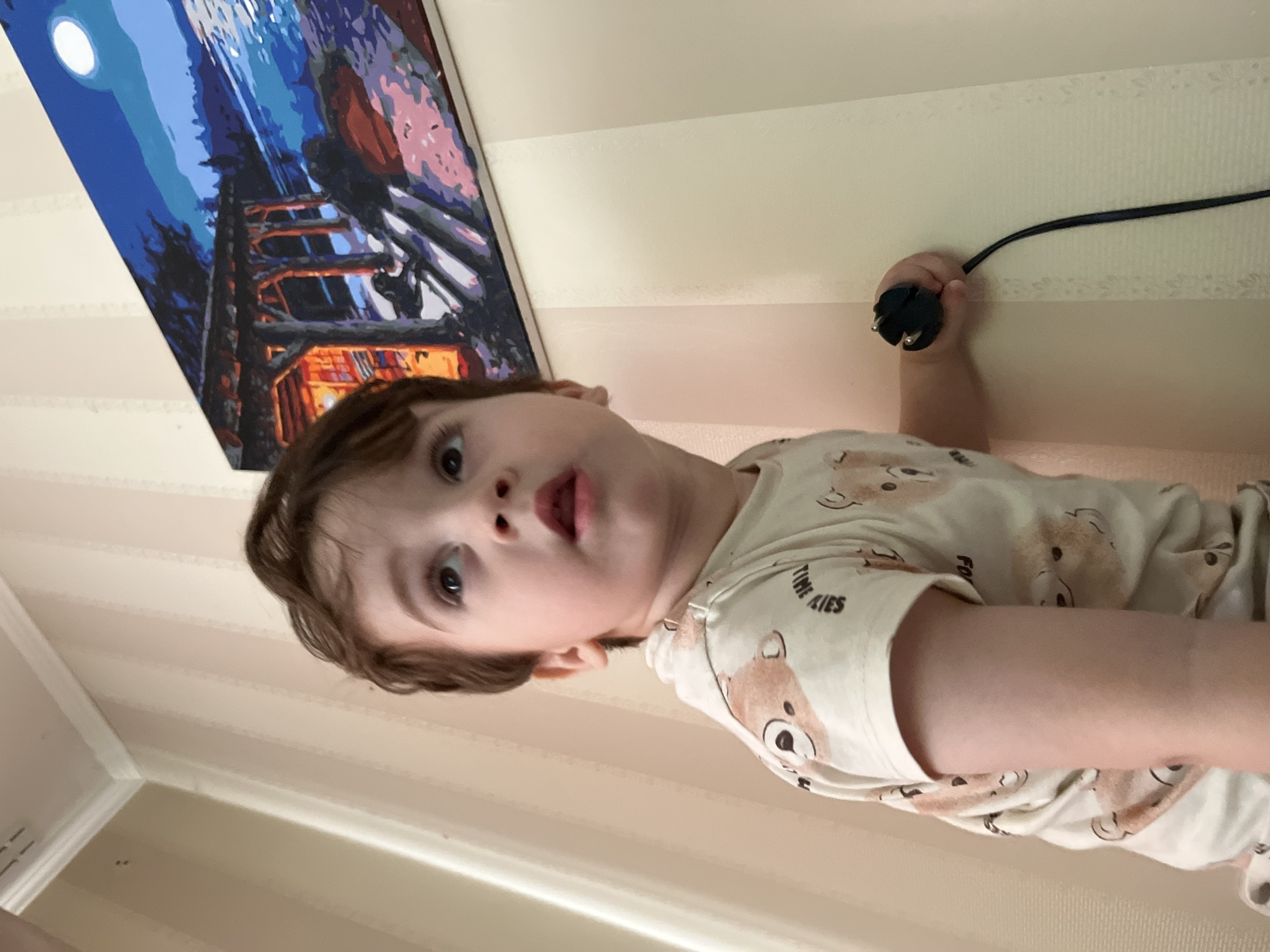 A child is holding a black European-style power plug in their right hand. The child is wearing a light-colored shirt with a bear pattern. Behind the child is a wall with horizontal beige stripes and a framed painting depicting a cabin at night. The photo was taken indoors. The location is likely Chaikovsky, Russia.