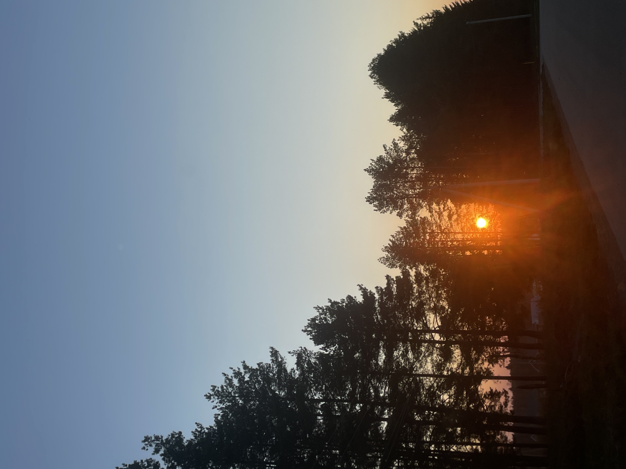 The image depicts a sunset over a forest in Подшивалово, Russia. The sun is low on the horizon, partially obscured by trees, creating a bright orange glow. The sky transitions from a light blue to a pale yellow near the horizon. Silhouetted trees line the right side of the image, and there appears to be a road or paved surface on the extreme right edge.