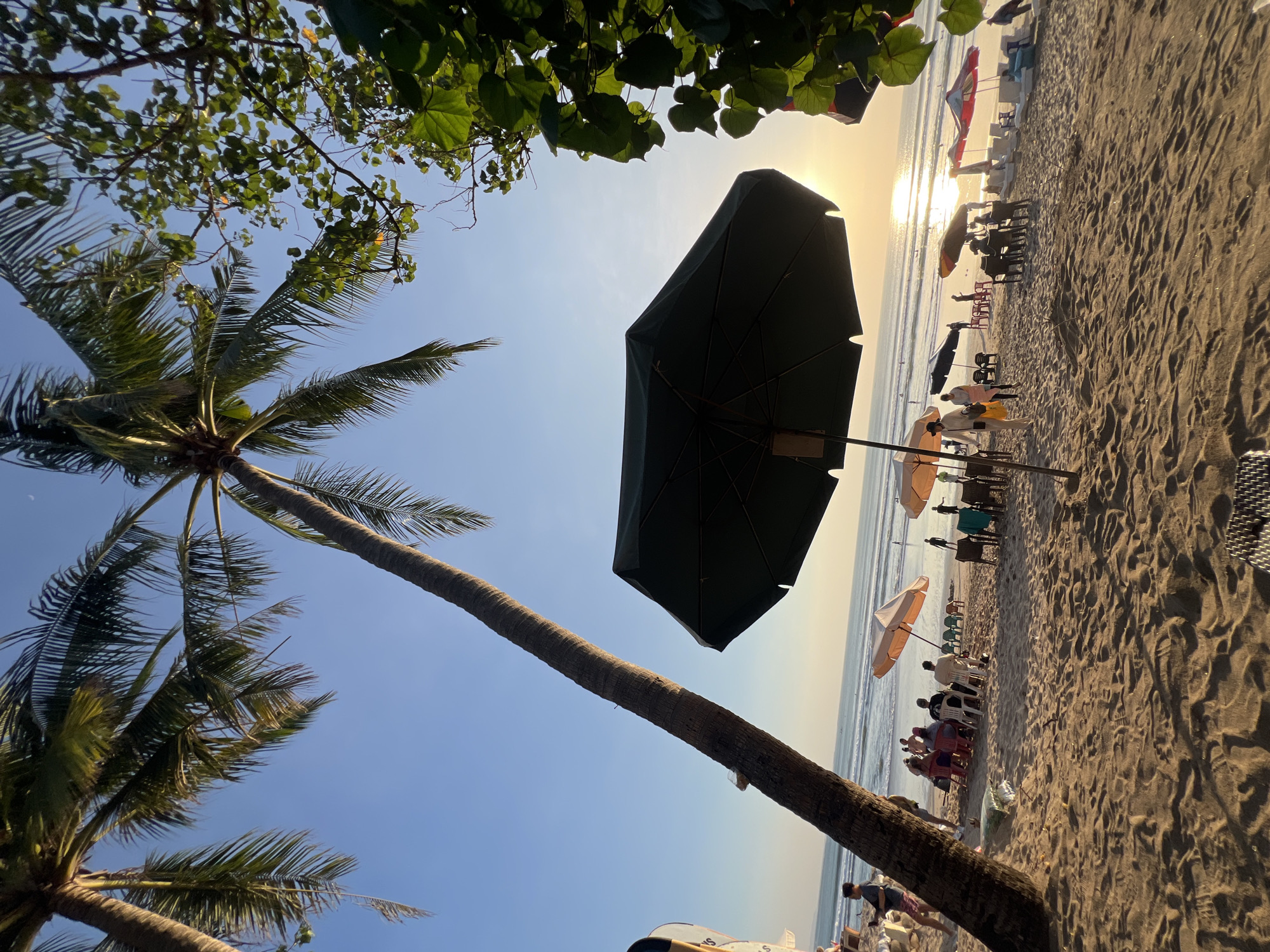 This image depicts a tranquil scene on Kuta Beach, Indonesia, during a sunset. The foreground is dominated by sandy beach, with a large, dark green umbrella casting a shadow. To the left, a leaning palm tree with fronds outstretched against a clear blue sky adds to the tropical ambiance. In the mid-ground, several beach umbrellas, both open and closed, are scattered across the sand. A group of people are seated on chairs facing the ocean, appearing relaxed. Others are seen strolling along the beach. The ocean, with gentle waves, stretches out to the horizon, where the sun is setting, casting a warm golden glow across the water and the sky. The image captures the serene atmosphere of a popular tourist destination at the end of the day.