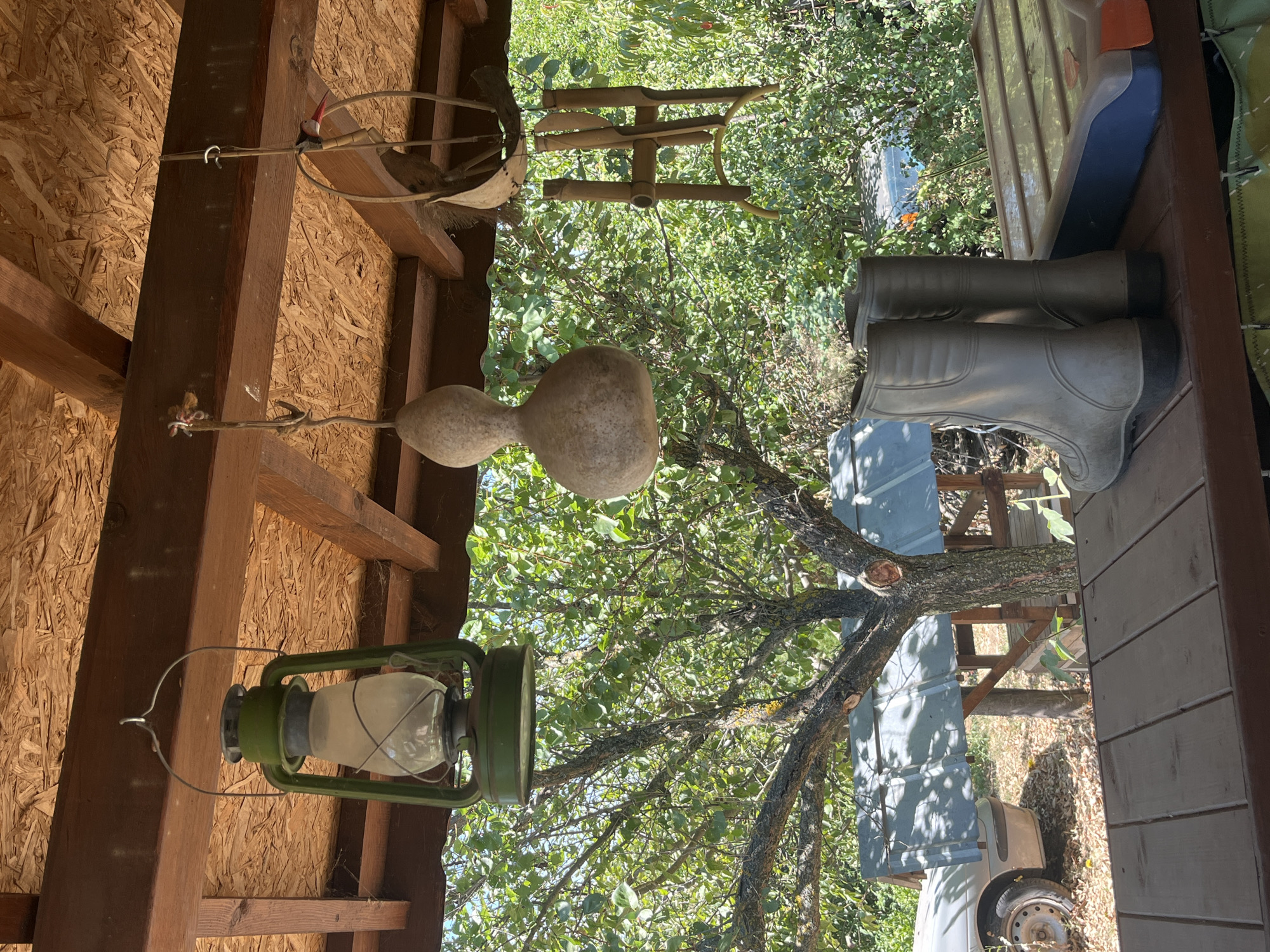 The image depicts an outdoor scene, likely a porch or covered area, with various objects displayed. In the foreground, a wooden surface is visible, with a pair of grey rubber boots placed on it. To the right of the boots is a blue and orange plastic container.
Hanging from the wooden ceiling structure are several items: a green oil lantern, a gourd, and what appears to be a wind chime made of bamboo. The ceiling itself is constructed of plywood.
In the background, a tree with lush green foliage is prominent. Partially obscured by the tree is a car with a visible wheel and a metallic roof structure. Further in the background, more trees and vegetation create a natural, possibly rural, setting.
The lighting suggests daytime with sunlight filtering through the leaves. The overall impression is one of rustic storage or decoration in an outdoor environment. There are no people visible in the image, and no actions are being performed. The scene is static.
The provided context indicates the location is Targovishte, Bulgaria. This information is not visually discernible from the image itself.