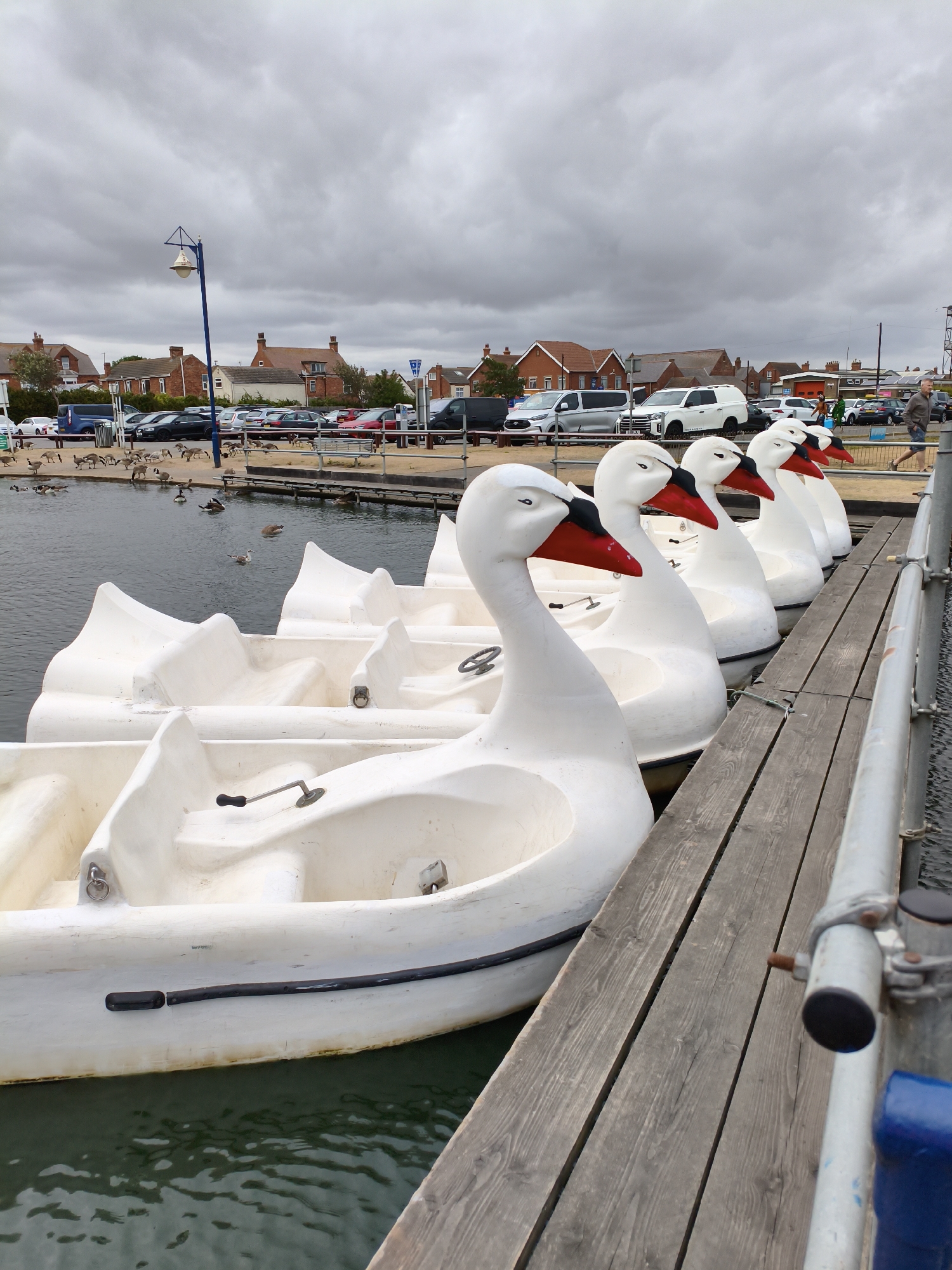 A row of white swan-shaped pedal boats are docked alongside a wooden pier on a cloudy day in the coastal town of Skegness, East Lindsey, United Kingdom. The boats, with their distinct red beaks, are positioned in the water, awaiting occupants. In the background, a parking lot filled with various cars and vans is visible, along with residential buildings and a street lamp. Several geese and ducks are swimming in the water near the boats, and a few people are walking on the pier and in the parking area. The overall scene suggests a recreational area, likely a marina or lakefront, that caters to visitors seeking aquatic activities.