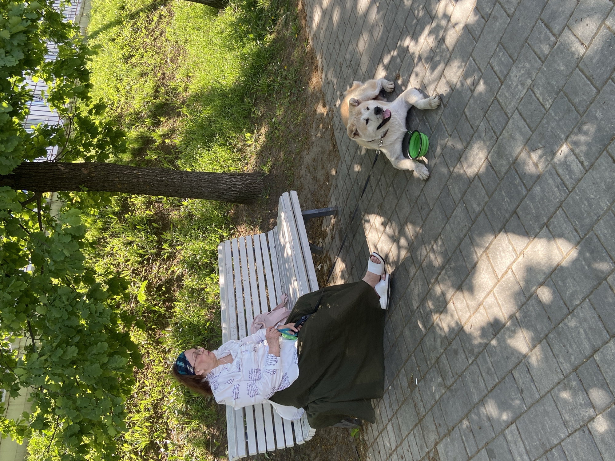 The photograph captures a moment in Kazan, Russia. A senior woman rests on a white park bench under the shade of a tree. She is wearing a white shirt with purple patterns, a long dark green skirt, and white sandals. A blue headband adorns her hair. Her dog, a light-colored Akita, lies on the paved walkway near the bench with a green dog bowl next to it. The pavement is a patterned gray. Green grass is visible behind the bench and near the tree. The scene appears to be taken on a sunny day.