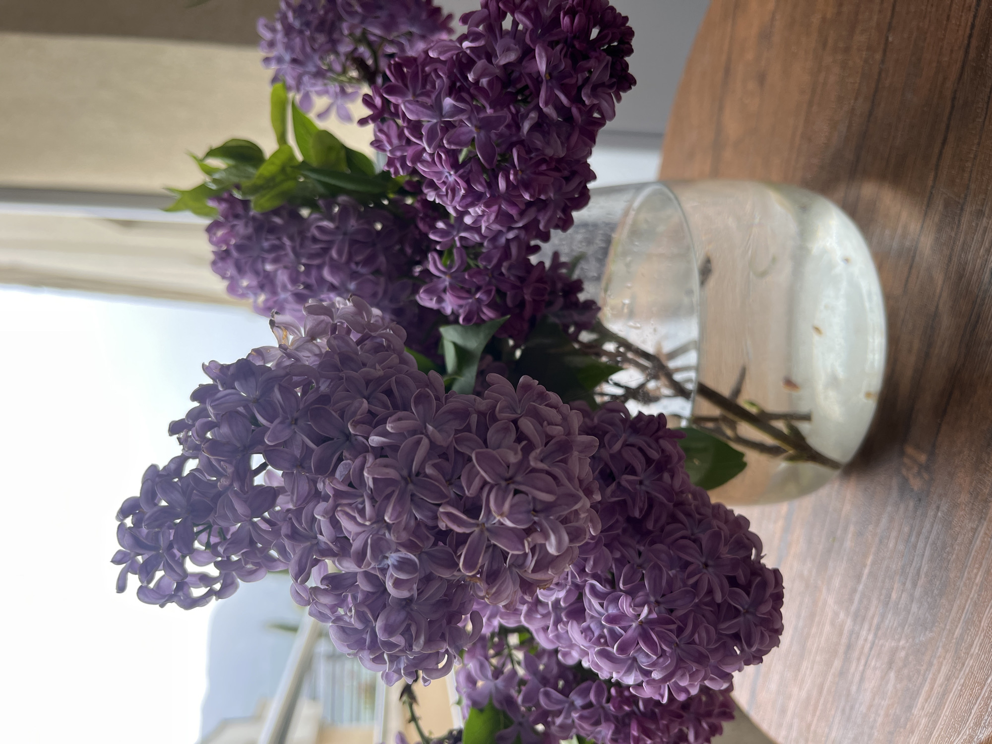 A close-up shot reveals a bouquet of lilac flowers arranged in a transparent glass vase. The vase is filled with water. The flowers, predominantly in shades of light purple, are clustered together densely. The bouquet sits atop a wooden surface. Natural light illuminates the scene. Outside the window, a building is partially visible. The location is Budva, Montenegro.