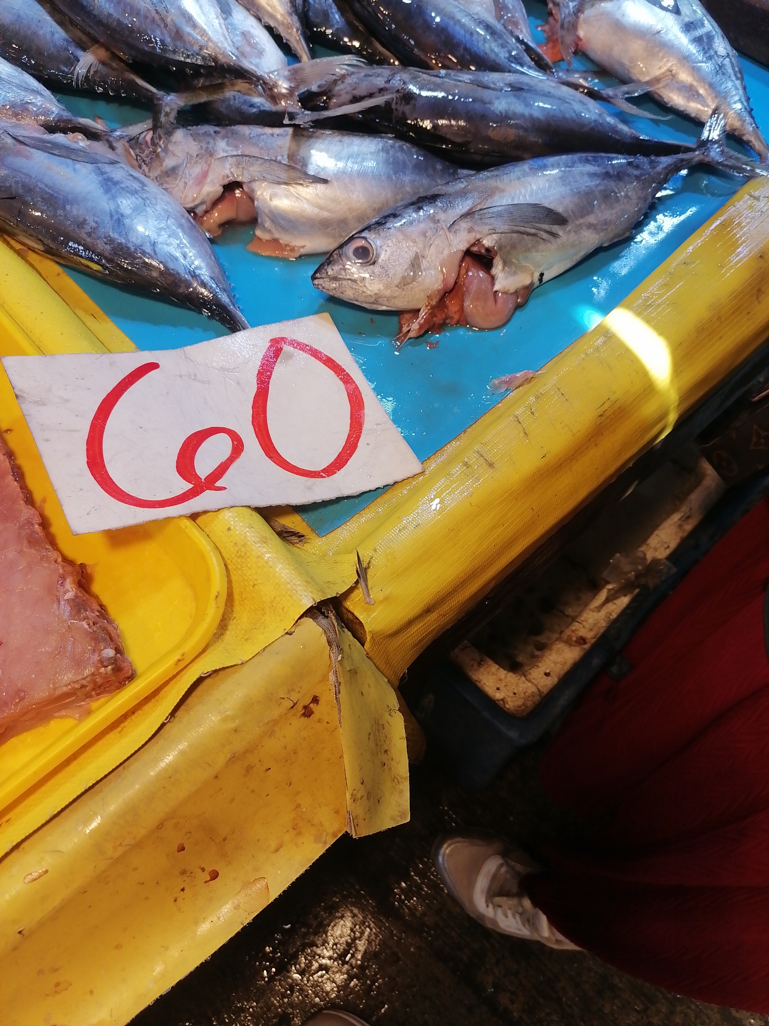 This image depicts a close-up, eye-level view of a fish stall, likely in a public market in Davao City, Philippines. The foreground features a bright yellow plastic tray holding a raw cut of fish, its pinkish flesh visible. Resting on the tray is a white card with "60" written in bold red marker, indicating a price. Behind this, a large, bright yellow, somewhat textured object, possibly a bunch of plantains or a similarly shaped item, runs diagonally across the frame.
Dominating the background are numerous fresh, silver-skinned fish laid out on a blue surface. One fish in the center appears to have been cut open, revealing its internal organs. The fish are mostly whole, with their heads and tails intact. The lighting suggests an indoor or shaded outdoor setting, with a bright light source casting a glare on the yellow object. The overall impression is one of a bustling market environment where fresh seafood is being sold. A portion of a person's red clothing and a light-colored sneaker are visible at the bottom right, suggesting the presence of a shopper or vendor.