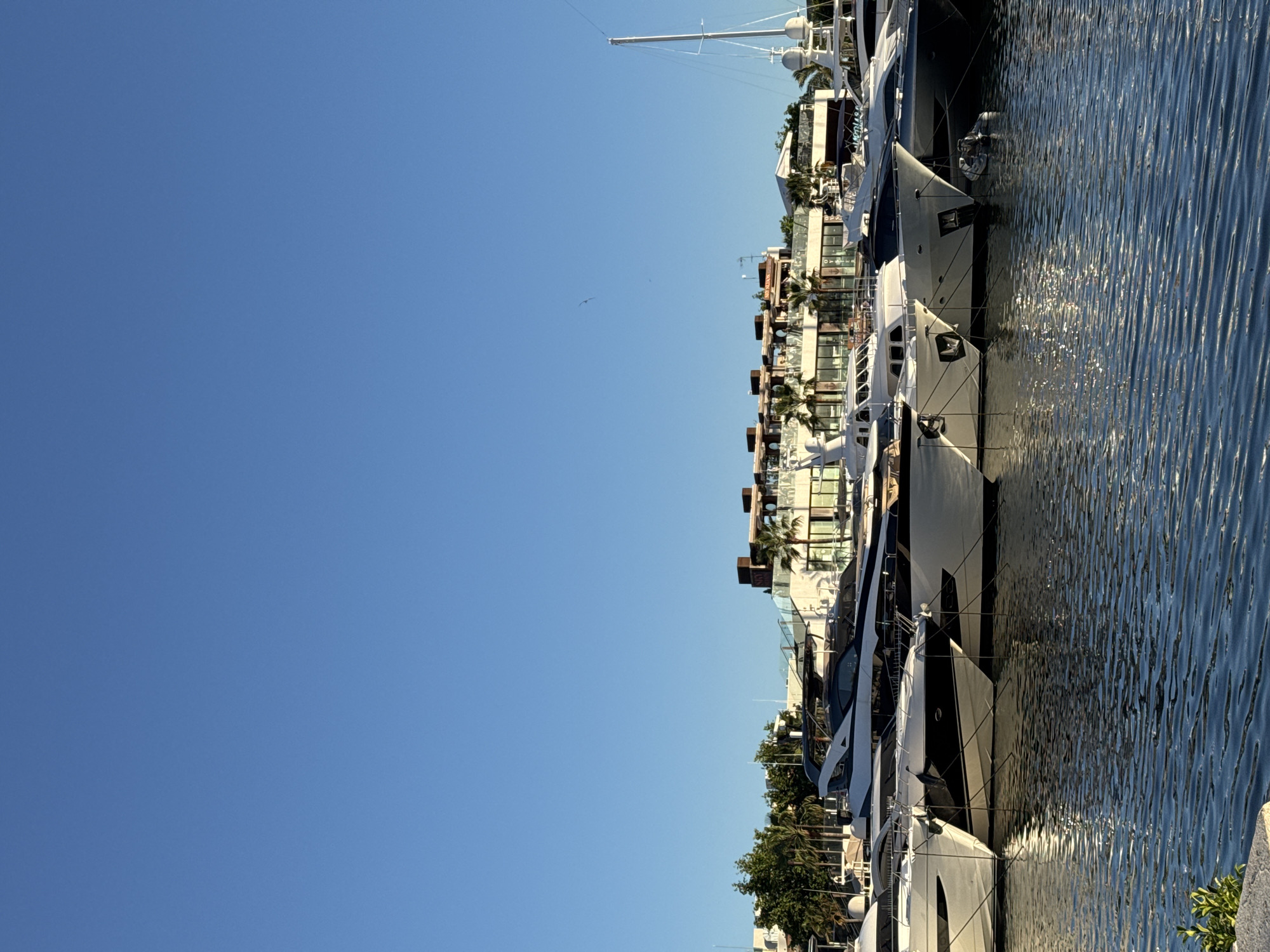 The image captures a marina scene in Palma de Mallorca, Spain. A row of luxury yachts is docked along the water's edge, gleaming under a clear blue sky. The yachts vary in size and design, with sleek lines and reflective surfaces. Buildings, including residences and possibly hotels, are visible behind the yachts, featuring balconies, windows, and palm trees. The water in the marina is rippled, reflecting the sunlight and the yachts themselves. The overall scene suggests a high-end, coastal setting in a Mediterranean location.