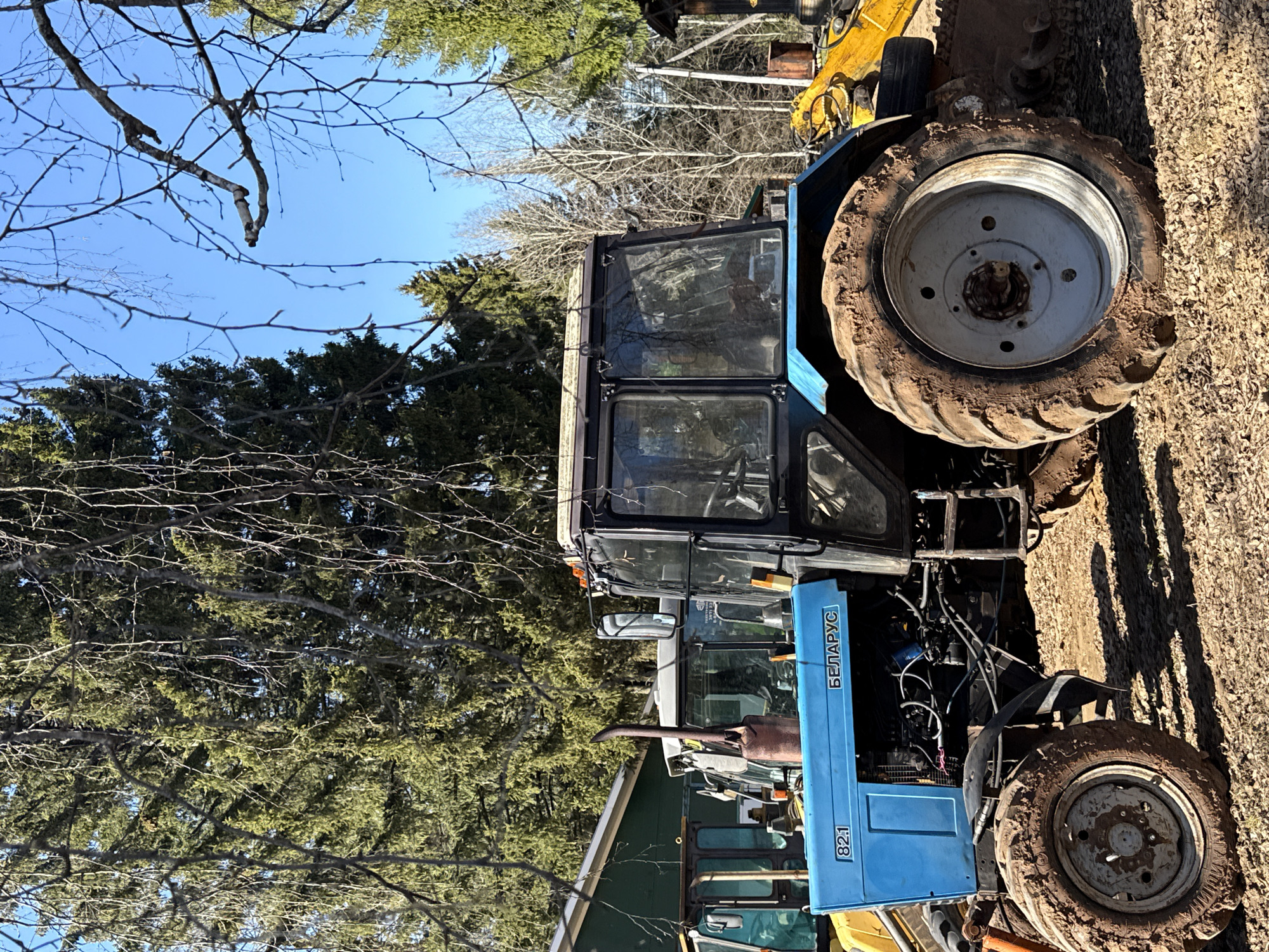 The image shows two blue tractors in a rural environment, likely in Галево, Russia, given the Cyrillic script on one of the tractors ("БЕЛАРУС"). Both tractors appear to be Belarus 82.1 models, with one partially obscured by the other. The tractors have dirty tires, suggesting recent use in muddy conditions. One tractor has a full cab, while the other's engine is exposed. There are green trees and bare branches in the background, indicating a possible forest or wooded area. Part of a yellow construction vehicle can also be seen. The ground is covered with dry leaves and dirt. The sky is blue and clear.