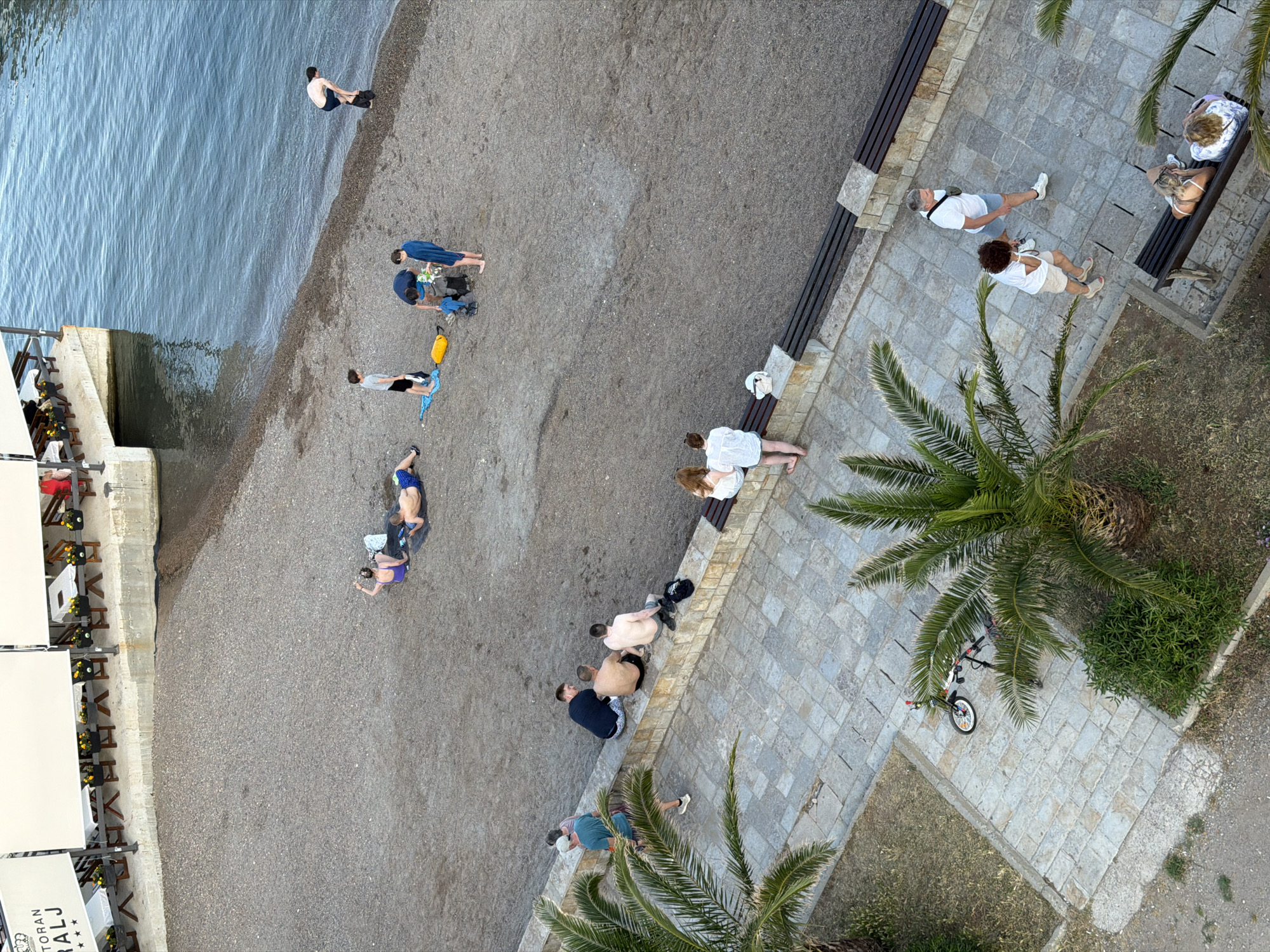 This high-angle, overhead photograph captures a lively coastal scene, likely in the late afternoon or early evening, consistent with a Mediterranean or Adriatic setting like Budva, Montenegro. The image is slightly rotated, presenting a dynamic view of a pebble beach, the sea, a paved promenade, and an outdoor restaurant.
On the grey pebble beach, several individuals and small groups are engaged in various activities. One person wades at the water's edge, while others are seen standing, sitting, or kneeling, some seemingly gathering belongings. A bright yellow dry bag and a blue towel are visible on the beach. The calm, blue-grey water shows gentle ripples near the shore.
Adjacent to the beach is a paved promenade made of light-colored stone blocks. Dark wooden benches are placed along its length. Several people are present on the promenade: some are standing, two individuals sit on a bench, and another pair walks further along. A white item of clothing or a bag rests on one of the benches. Palm trees with lush green fronds are interspersed along the promenade, providing shade, and a white bicycle is parked under one.
To the far left, a multi-tiered outdoor restaurant area extends over the water, supported by concrete structures. It features white awnings providing shade for numerous tables and chairs. Yellow flowers are used as decorations on the tables. Visible text on one of the awnings reads "RESTORAN KRALJ" accompanied by three stars, indicating the name and rating of the establishment. The overall atmosphere appears relaxed and leisurely, with people enjoying the coastal environment.