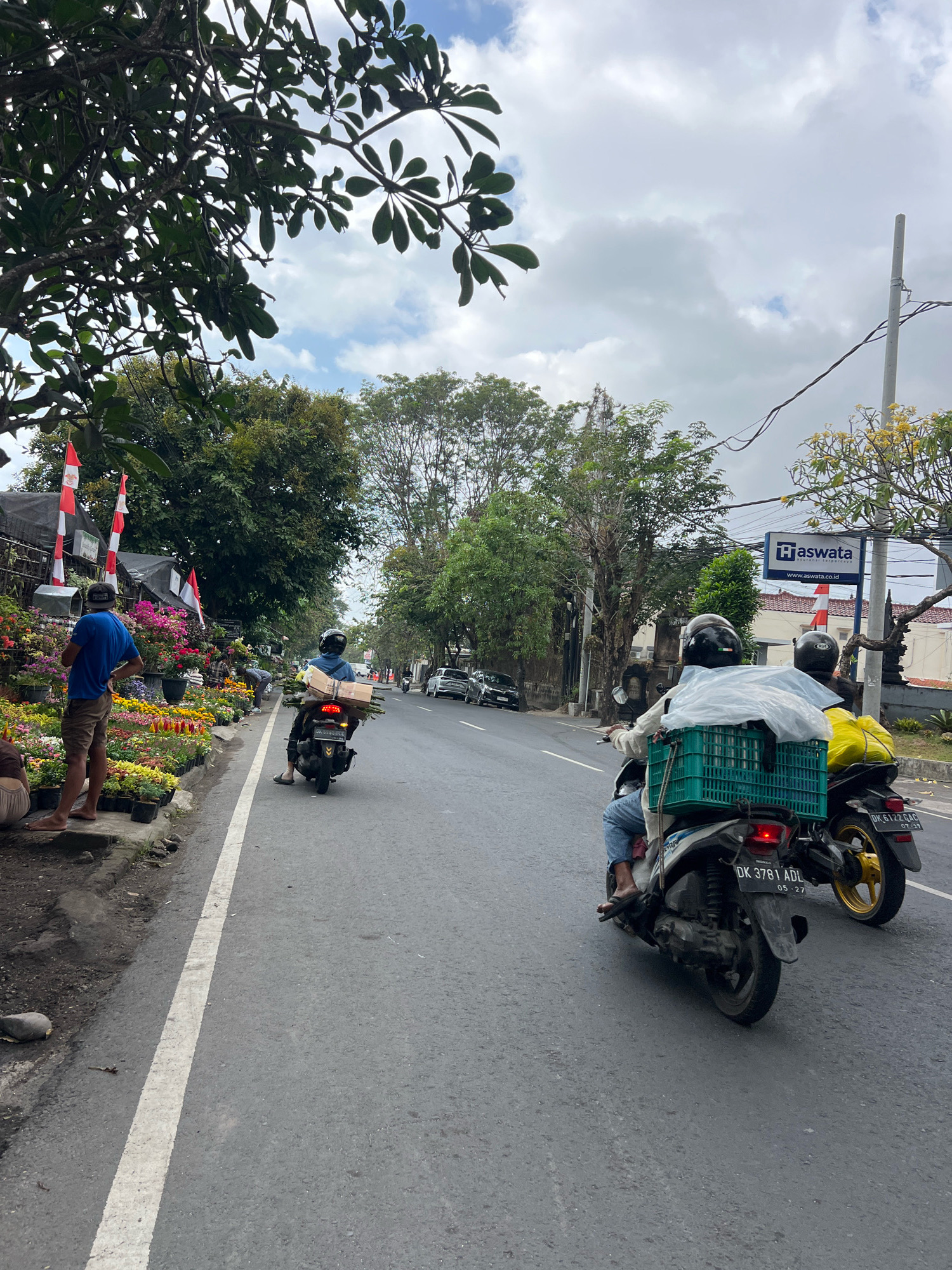 An eye-level medium shot captures a street scene in Denpasar, Indonesia, under a cloudy sky. In the foreground on the left, a man in a blue shirt and shorts stands barefoot on a sidewalk, facing away from the camera, looking at a vibrant display of potted flowers. Behind him, a vendor is visible arranging plants. The sidewalk is lined with an array of colorful flowers, including pink, yellow, and orange varieties, in planters. Red and white Indonesian flags are displayed on poles along the edge of the sidewalk.
The street itself is paved and features a white line marking the lane. Two motorcycles are traveling away from the camera on the right side of the road. The motorcycle closest to the viewer is black and white, with a rider wearing a helmet and light-colored clothing. A green plastic crate filled with white plastic-wrapped items is secured to the back of this motorcycle. The second motorcycle is black with gold accents on the wheels, and its rider is also wearing a helmet.
Further down the street, several cars are parked and in motion. On the right side of the road, a blue sign with white lettering reads "Haswata" and below it "www.aswata.co.id". Trees with green foliage line both sides of the street, and utility poles with wires are also visible. The overall atmosphere suggests a bustling local market or street scene with ongoing commercial activity.