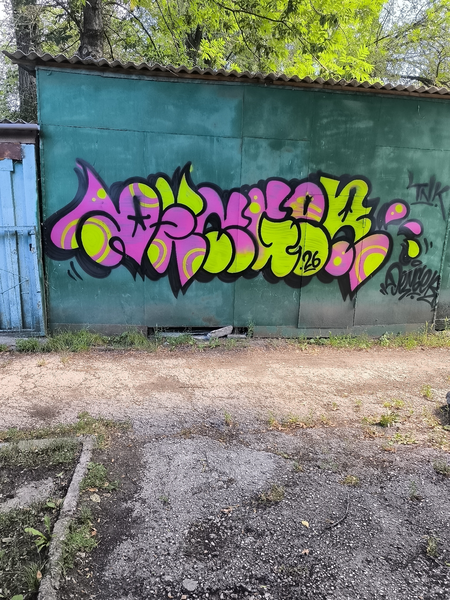 The image shows a graffiti tag spray-painted on a turquoise metal wall, likely a garage or shed. The graffiti is in vibrant pink and lime green with black outlines. There is a smaller black tag on the right side of the wall, with "TNK" visible. To the left of the wall is a light blue metal door or gate. The ground in front of the wall is a mix of sand and gravel, with some sparse vegetation growing along the base of the wall and at the edge of the path. Overhanging the top of the wall are green tree branches with foliage. The setting appears to be outdoors, possibly in an urban or semi-urban environment. The image does not contain any people. No specific location in Bălți, Moldova is identifiable from the image itself.