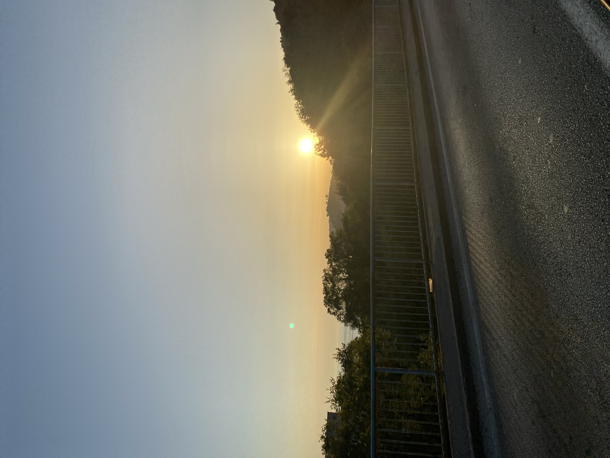This is a vertical, eye-level photograph of a sunset over a coastal city, likely Sutomore, Montenegro. The foreground is dominated by a wet asphalt road, reflecting the warm hues of the setting sun. A metal railing runs along the edge of a bridge or overpass, separating the road from a steep, tree-covered hillside to the right. The hillside is silhouetted against the sky, with the sun peeking over its crest, casting long rays of light. To the left, distant buildings and more trees are visible, with the sea or a large body of water in the background. The sky transitions from a pale blue at the top to a soft yellow and orange near the horizon. A small, bright green circular anomaly is present in the sky to the left of the sun. No people are visible in the frame.