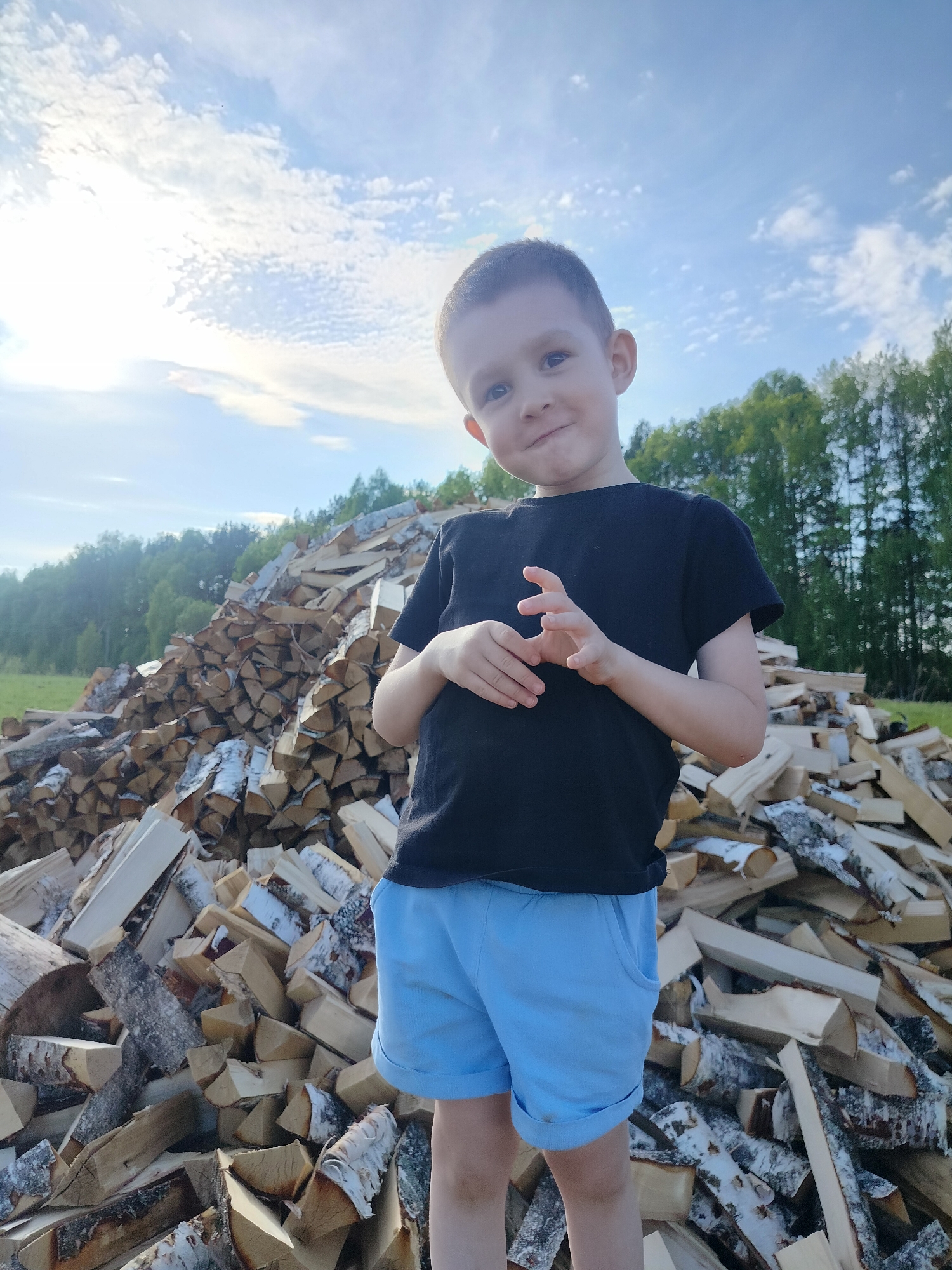 A young boy stands in front of a large pile of birch firewood. He is wearing a black t-shirt and blue shorts. The background includes a field and a line of trees, under a blue sky with scattered clouds. The location is Bormist, Russia.