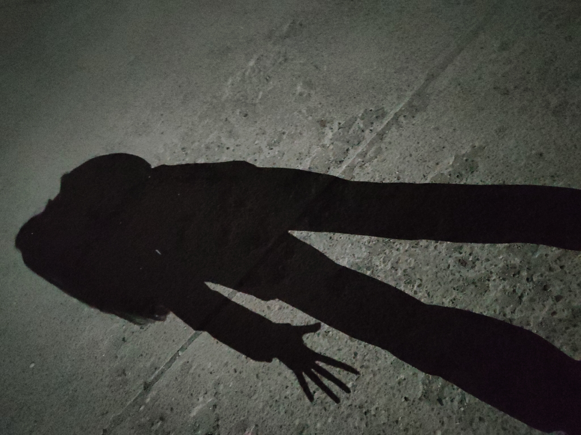 The image depicts the stark shadow of a person lying prone on a concrete surface. The shadow suggests the person is wearing clothing and has their arm extended with fingers outstretched. The location appears to be outdoors, given the concrete surface. The city is unknown, and there are no other subjects or objects visible to provide further context. The interaction is limited to the shadow cast onto the ground. The environment is dimly lit, with the focus primarily on the shadow itself.