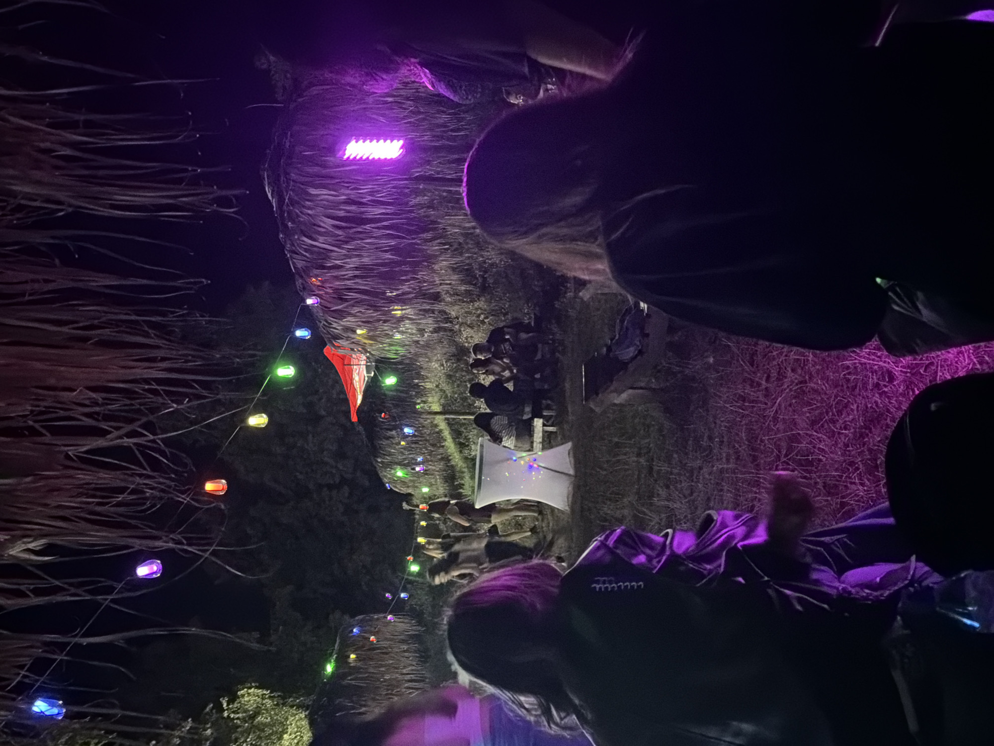 The image depicts an outdoor nighttime gathering. String lights in various colors illuminate the scene, casting a festive ambiance. In the background, several individuals are visible, some seated and others standing, suggesting a social event. The environment appears to be rural, with thatched roofs on structures and vegetation present. The lighting suggests the use of artificial light sources, including colored bulbs and a prominent purple light fixture. The foreground is dominated by the backs of two individuals, their faces not visible. The overall impression is that of a relaxed, informal gathering under a canopy of lights.
