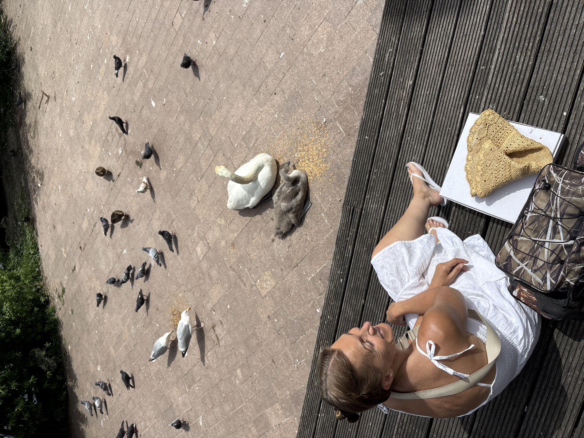 This media file shows an overhead view of a woman sitting on a wooden deck, facing to her left and smiling. She is wearing a white sundress and white flip-flops. Next to her on the deck are a white box, a straw hat, and a camouflage bag with headphones.
In the background, on a paved area, several birds, including pigeons and seagulls, are gathered, pecking at scattered grain. Two swans, one adult and one cygnet, are also present and eating from the grain. The scene appears to be outdoors on a sunny day, suggested by the strong shadows cast by the woman and the birds. The overall setting seems to be a public area, perhaps a park or waterfront, where people might feed birds. The woman's relaxed posture and smile suggest a pleasant and leisurely moment. No visible text is present in the image.