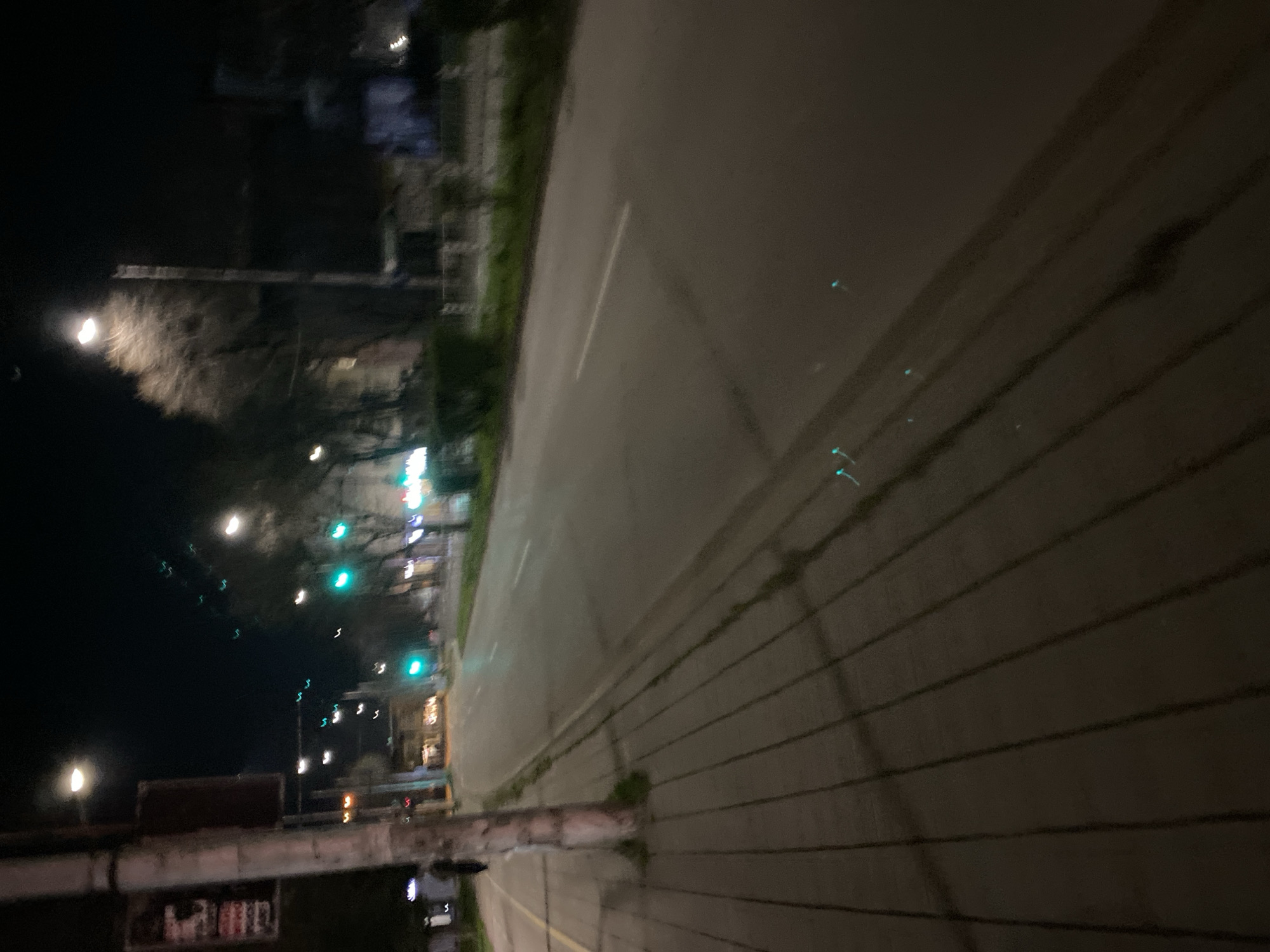 A nighttime street scene, taken at an elevated angle. The street is well-lit, with streetlights and traffic signals visible. The road pavement shows a single lane going into the distance, flanked by green vegetation. A sidewalk runs alongside the road, and the lower part of a bridge structure crosses the scene. It could not be identified if the location is in Varna, Bulgaria.
