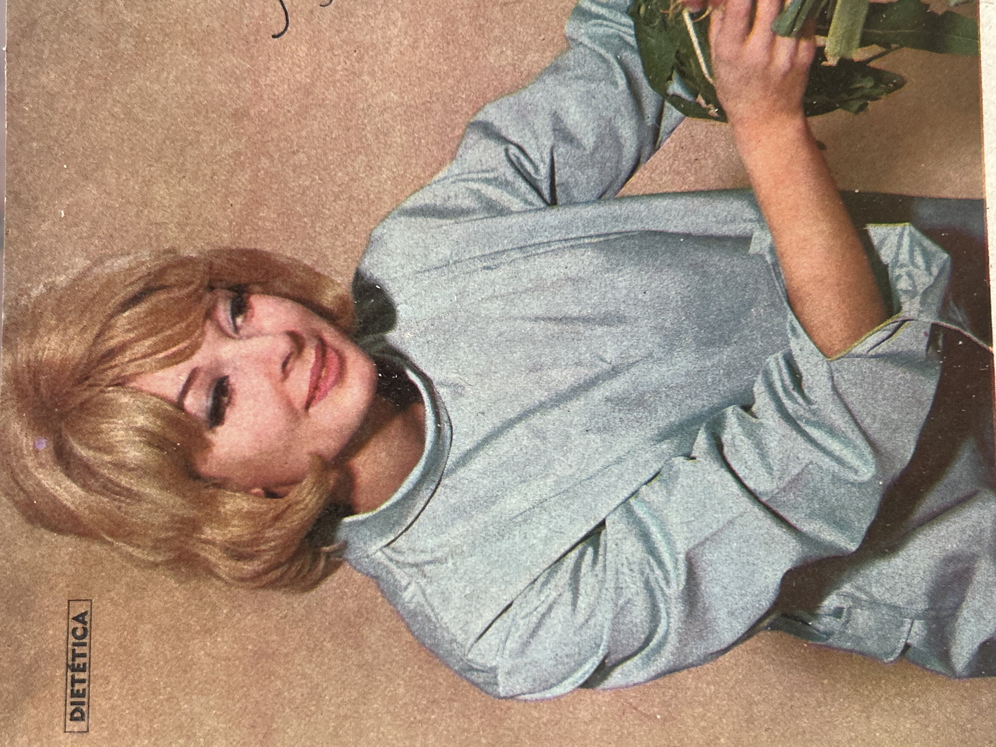 An image shows a woman with blonde hair, wearing a light blue collared shirt. The text "DIETÉTICA" is visible in a black box in the upper left corner. The background is a textured, light brown surface. The woman is holding some green foliage in her right arm, and her left arm is bent at the elbow. The image appears to be a still from a film or a photograph with a vintage aesthetic. There is no discernible indication of the specific location within the city of Santa Ana, Venezuela, or any other city.