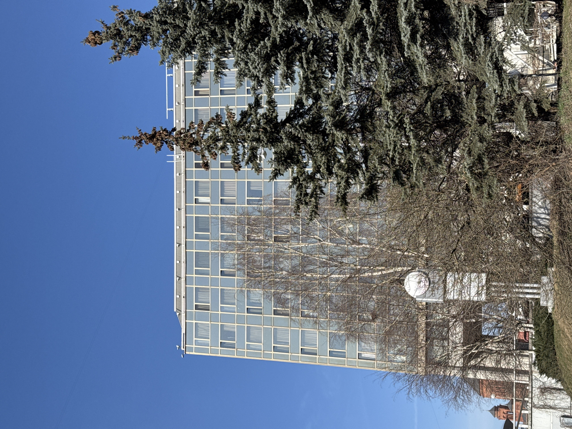 The image depicts a multi-story building with a grid-like facade of windows. The sky is clear and blue. Trees, some with green needles and others bare, frame the building. The location is identifiable as Khimki, Russia, based on architectural style and environmental context.