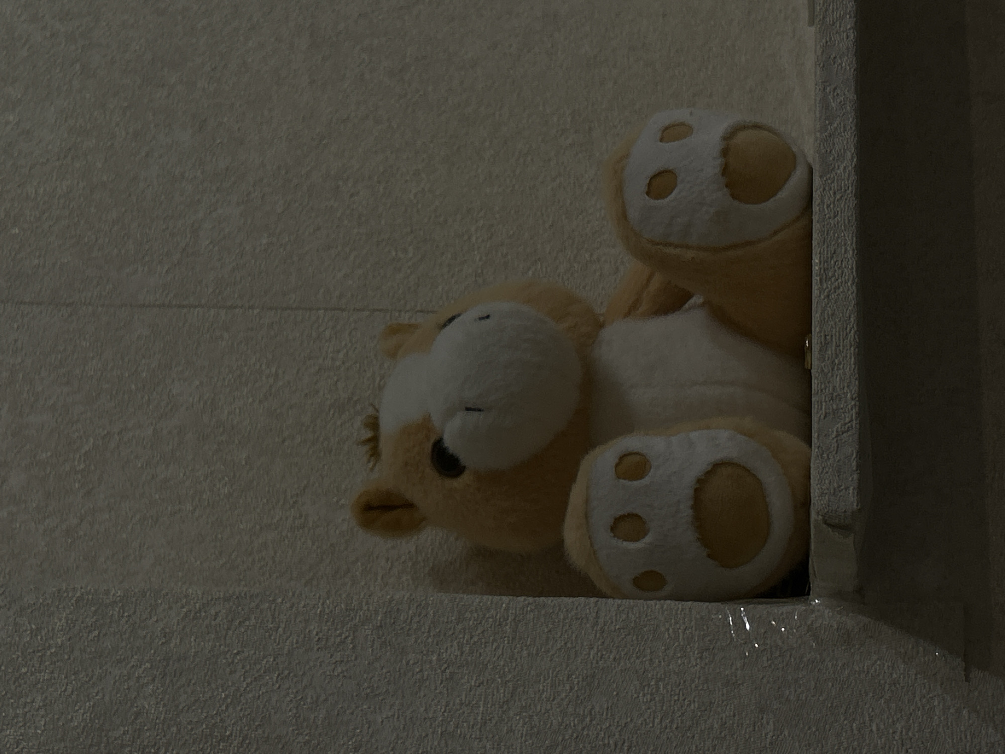 A stuffed toy, resembling a horse, is seated on a shelf against a textured wall. The toy is primarily orange and white, with large paws featuring embroidered paw pads. The background wall appears to be a light beige or gray color and has a rough, textured surface. A shelf, also textured, supports the toy. The lighting is dim, casting shadows and obscuring some details of the environment. The location is not specified as being in the city of Vologda, Russia.
