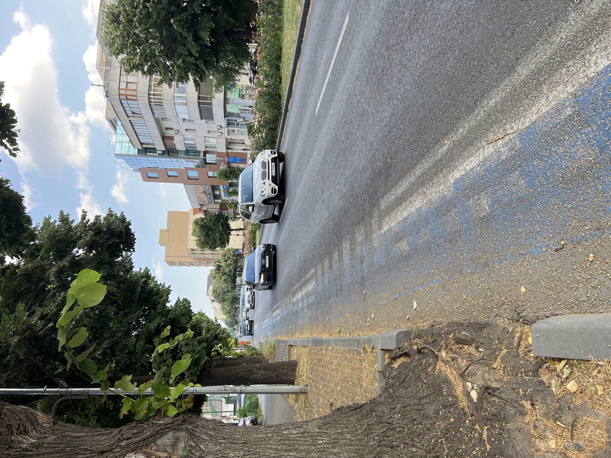 A vertical, slightly angled medium shot captures a street scene in Constanța, Romania, on a bright, cloudy day. The foreground is dominated by the thick, textured bark of a large tree, with a young green plant growing from its trunk and branches extending upwards, obscuring parts of the sky and buildings.
The street itself, paved with asphalt, is wet, suggesting recent rain. It's lined with a blue painted lane and white markings. A line of cars is driving on the wet road, with a white BMW SUV in the middle lane and a black Audi sedan behind it. The cars are moving away from the viewer, heading down a long, straight road.
To the left of the street, a sidewalk is visible, bordered by a grey curb. Beyond the sidewalk, trees with lush green foliage line the street, interspersed with buildings. The buildings are a mix of modern and older styles, with concrete facades, large windows, and balconies. One building on the left features a striking glass facade.
The overall impression is of an urban environment, perhaps a busy street with a mix of residential and commercial buildings, given the presence of storefronts visible on some of the buildings. The time of day appears to be daytime, likely late morning or early afternoon, judging by the bright but diffused sunlight. The weather is overcast, with clouds filling much of the sky. No people are clearly visible in the frame.