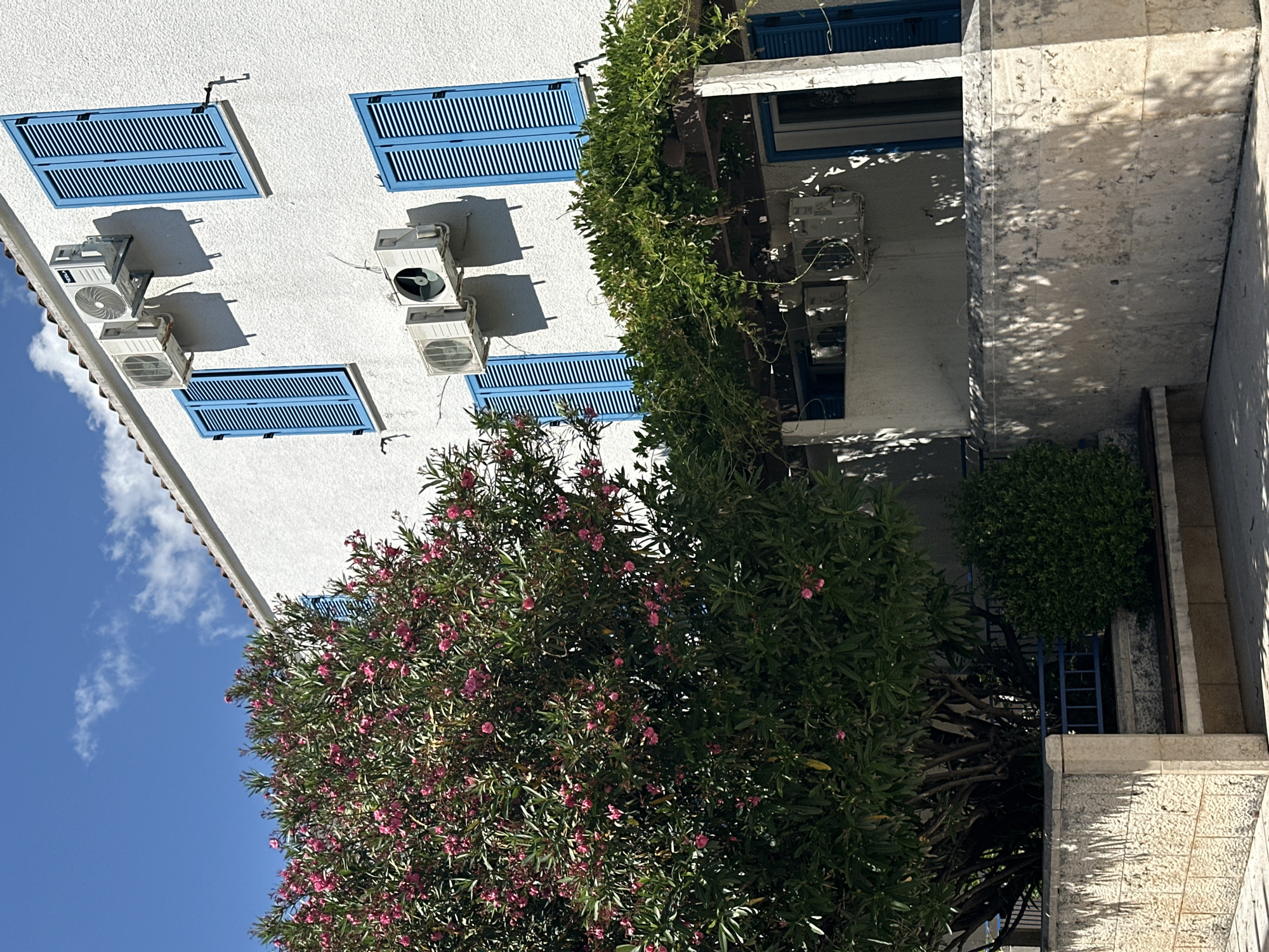 A low-angle, rotated view depicts a white building in Budva, Montenegro, on a sunny day with a blue sky. The building facade features light-blue louvered shutters and several air conditioning units mounted on the wall. A cascading green vine covers a section of the building, while a flowering bush with pink blooms is prominent in the foreground. Adjacent to the building, a stone structure with a green bush on top is visible.
