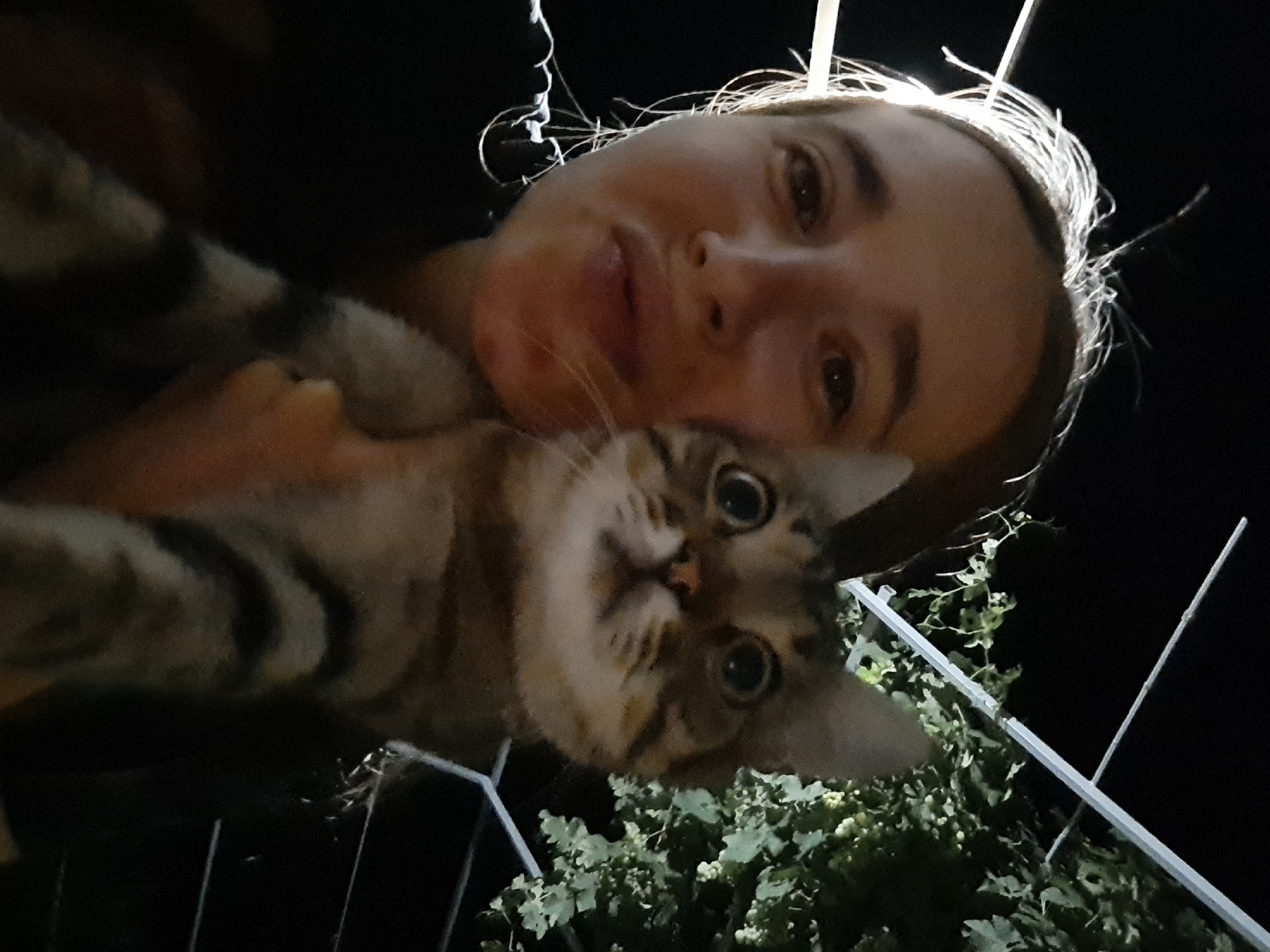 A person, likely female, holds a tabby cat in front of their face. The person's face is partially obscured by the cat, and they appear to be looking at the camera with a surprised or playful expression. The cat's eyes are wide open, and its ears are perked up. The background is dark, with some greenery and what appears to be a metal structure, possibly part of a fence or trellis. The lighting suggests the photo was taken at night or in low light conditions. The scene is consistent with an outdoor setting, possibly a backyard or balcony. Without further context or discernible landmarks, pinpointing the exact location within Vypasne, Ukraine, is not possible.