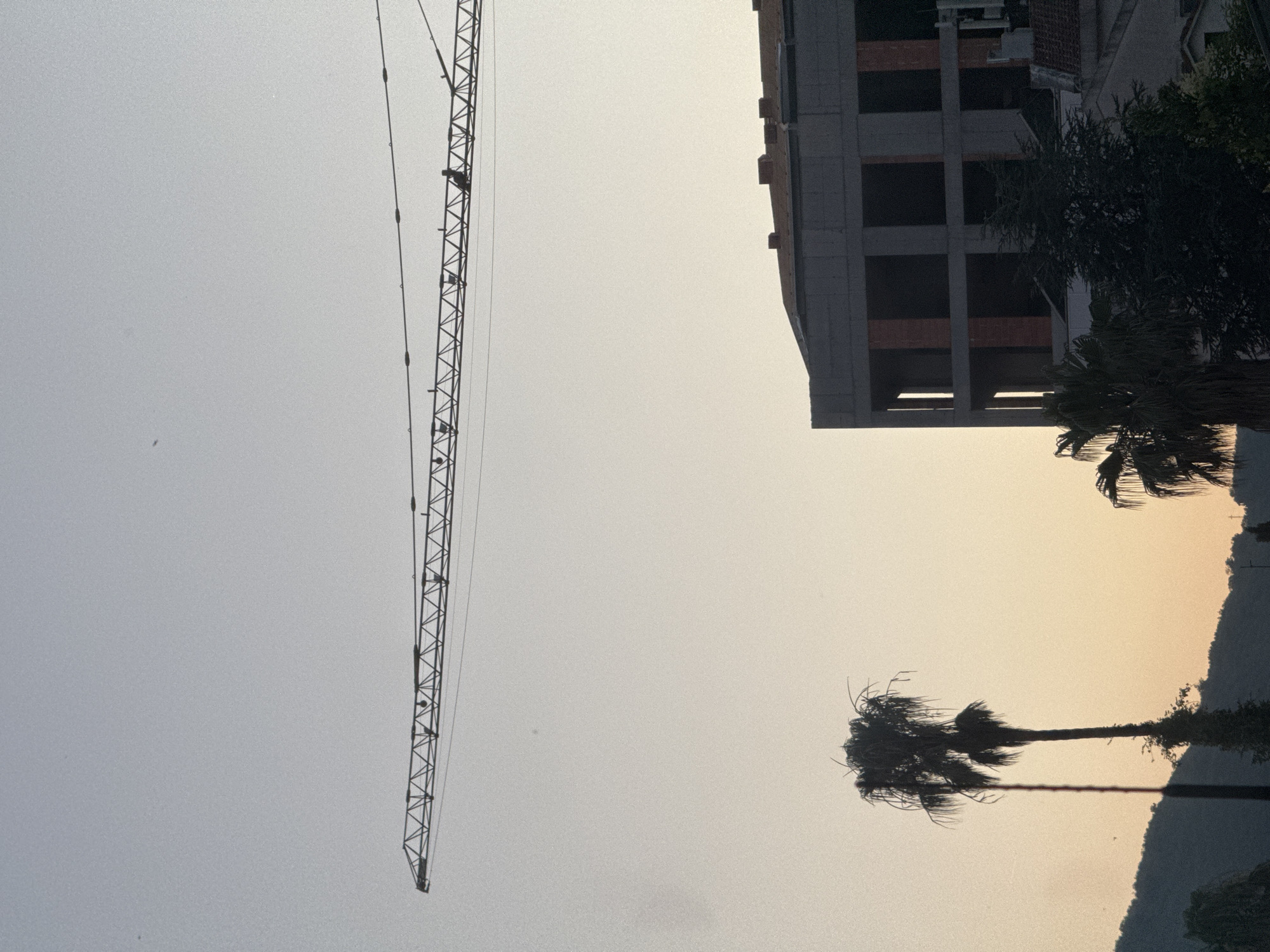 A wide shot captures a hazy sky over Budva, Montenegro, with a construction crane's boom extending horizontally across the upper frame. Below, a modern building under construction features exposed concrete and brickwork. To the left, silhouettes of two palm trees stand against the pale sky, with a dark, forested hill visible in the background on the far left. The scene is bathed in the soft light of dusk or dawn.