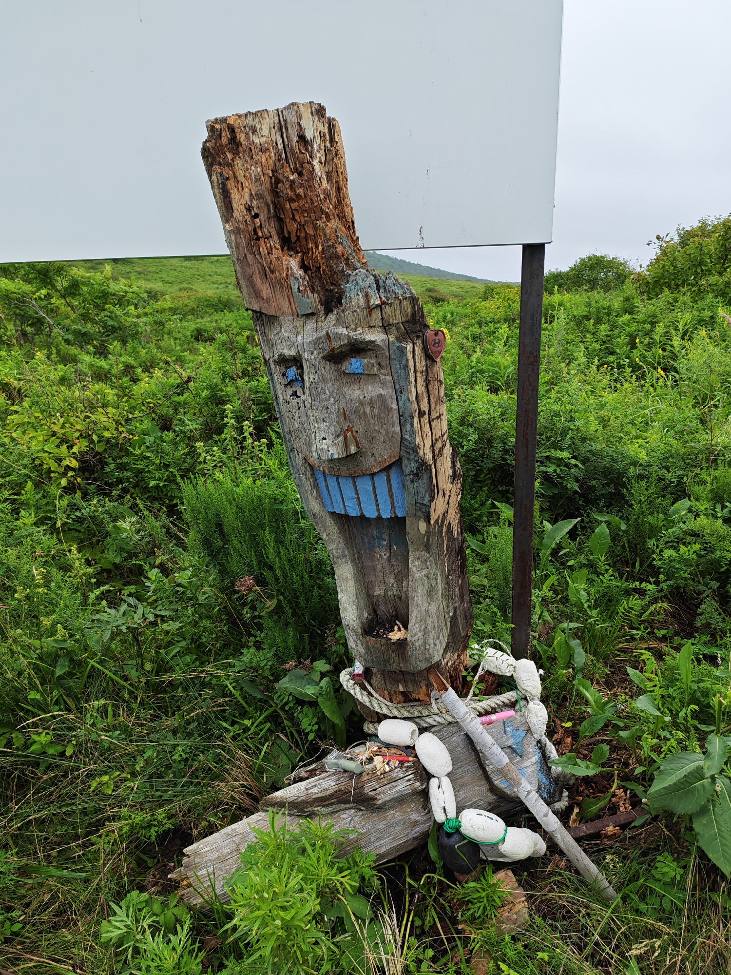 A carved wooden totem stands in a grassy, overgrown area next to a white sign. The totem has a carved face with blue-painted eyes and a large, blue-painted mouth. It is adorned with various objects, including ropes, white buoys, and a small red heart-shaped emblem. The totem is leaning against a metal pole and a horizontal wooden beam. The background consists of lush green foliage and a distant, hazy landscape under an overcast sky. The location is identified as Reineke, Russia.