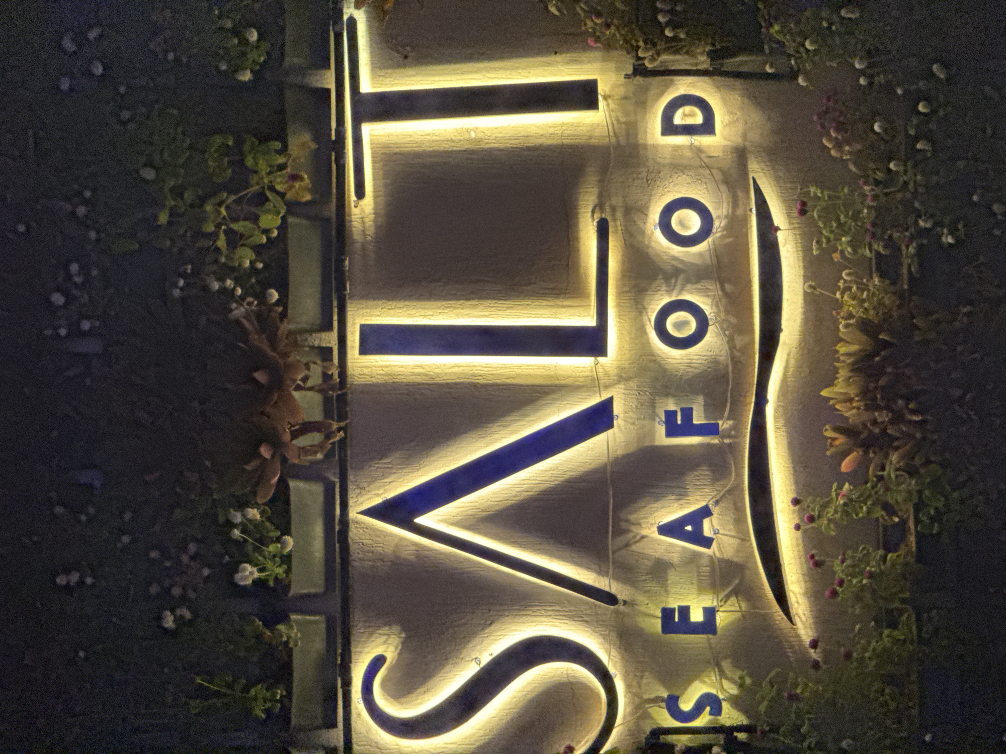 This image shows a lit sign for "SALT SEAFOOD" at night. The sign is made of large, illuminated blue letters with a yellow glow around them. The letters "SALT" are in a larger font, and the letters "SEAFOOD" are below in a smaller font. The sign is mounted on a textured wall. There are plants and flowers in planters at the top and bottom of the sign. The overall lighting is dim, indicating it is nighttime, and the sign is the primary light source in the image. The location is identified as Unknown, Egypt.