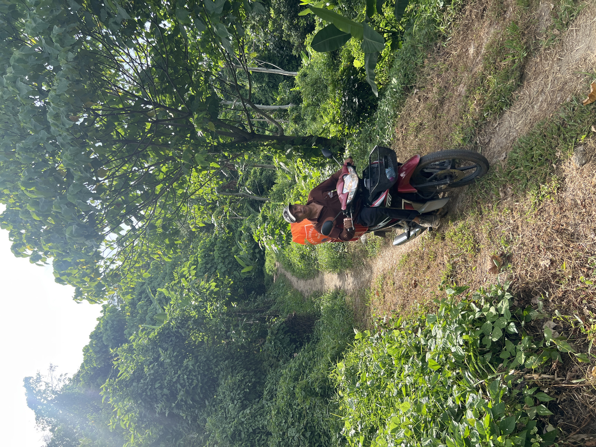 A person is riding a red and black motorbike on a dirt path through a lush, green jungle. The path curves to the left and is lined with dense vegetation. The rider, wearing a brown shirt and a white cap, is looking forward. An orange package is attached to the back of the motorbike. The sun is shining brightly, casting shadows through the trees. This scene is taking place on the outskirts of Choeng Thale, Thailand, in a rural area characterized by thick foliage and natural landscapes.