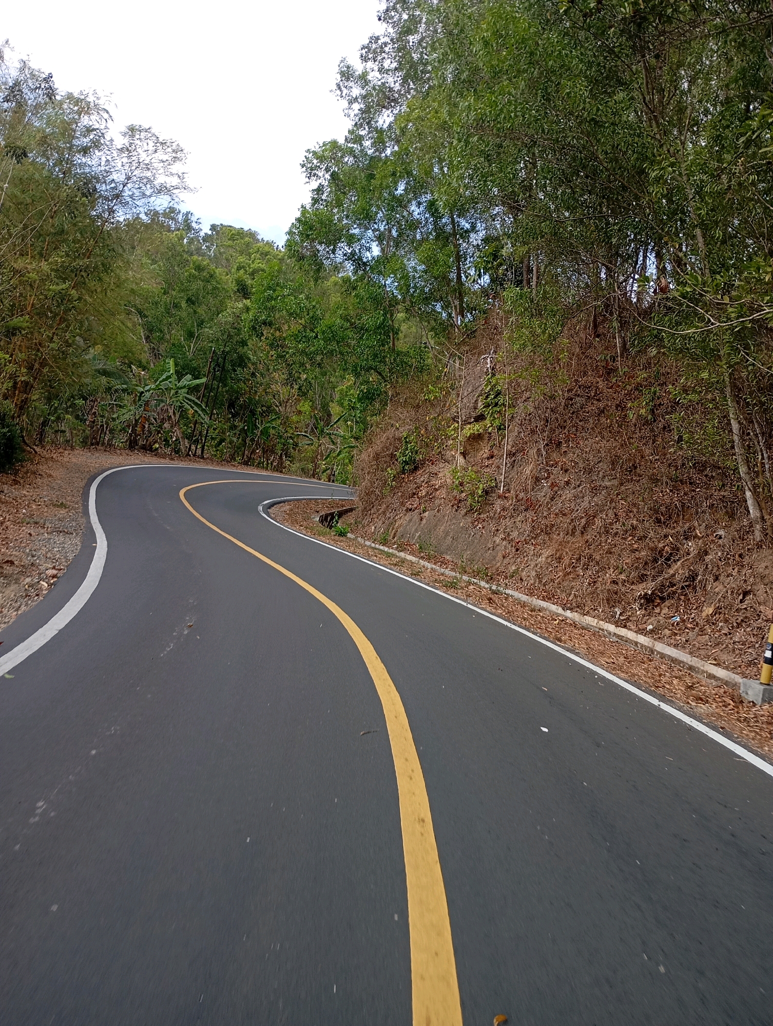 A paved, winding road curves through a lush, tropical environment. The road is dark asphalt with a bright yellow center line and a white dashed line on the left edge. The road is bordered by a dry, brown, grassy embankment on the right, with scattered brown leaves on the surface. The left side of the road appears to have a gravel shoulder. Dense green trees and vegetation line both sides of the road, with some bare branches and dried foliage visible on the right embankment. The sky is overcast with white clouds. A yellow and black striped post is visible on the right side of the road. The location is identified as Wonogondo, Indonesia.