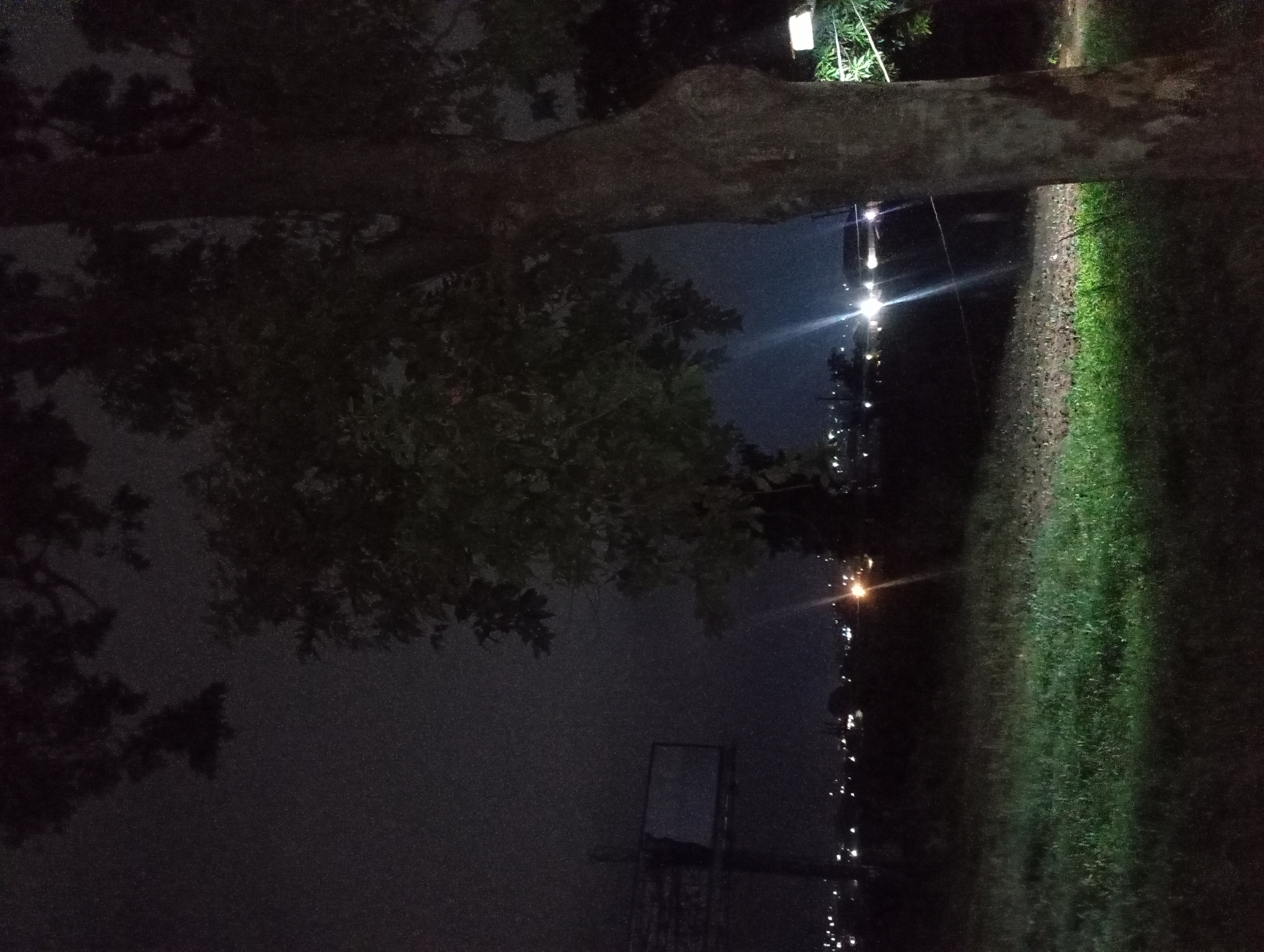 A dark, grainy nighttime photograph depicts a tree trunk in the foreground to the right, with its branches and leaves obscuring the upper portion of the frame. To the left, a rectangular object, possibly a billboard or sign, stands on a pole. In the background, a distant city skyline is visible with scattered lights and a faint glow in the sky. The ground in the middle ground is a dark, grassy field, partially illuminated by artificial lights. The overall scene suggests an outdoor location at night, with the presence of urban development in the distance.