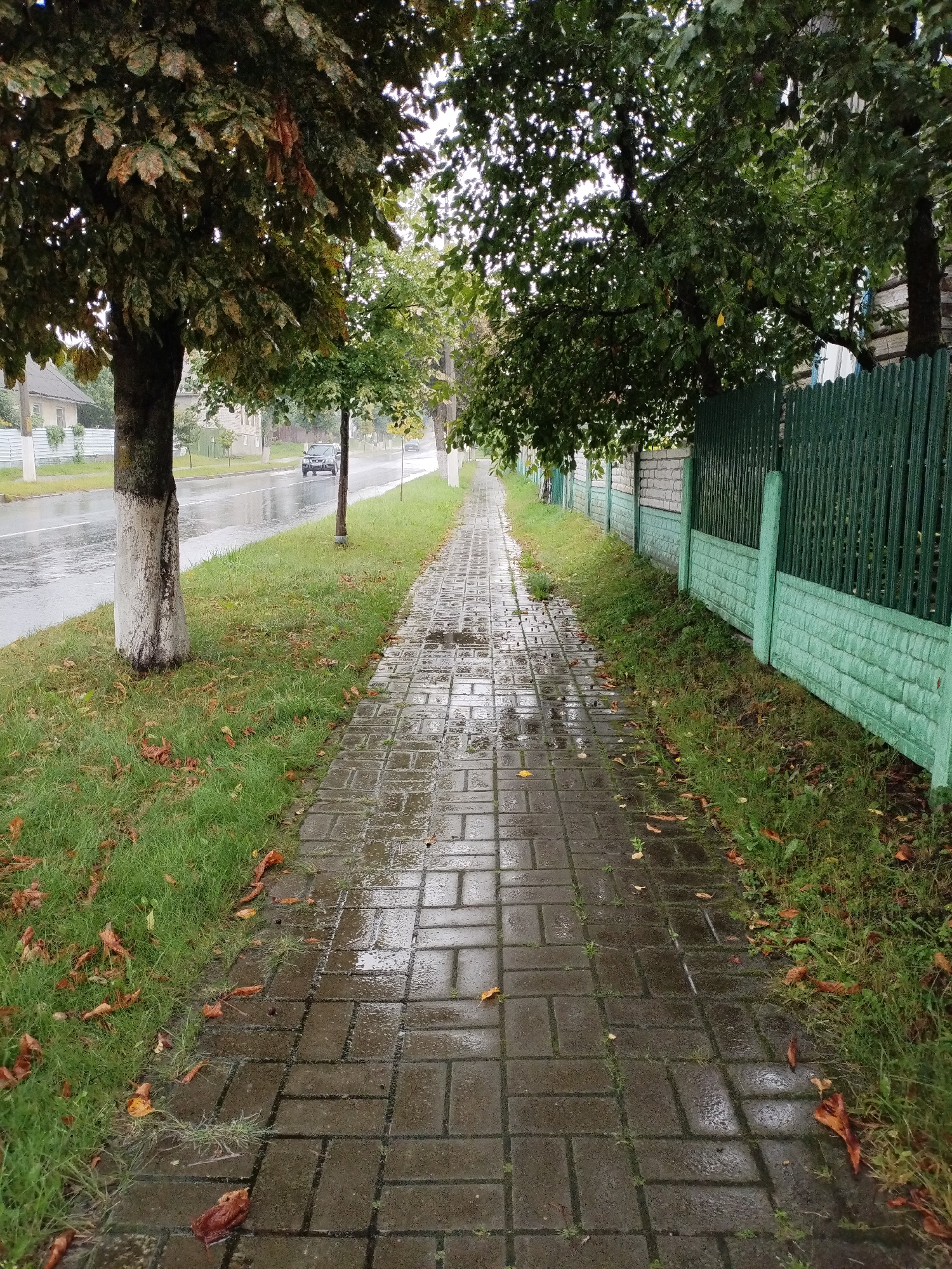 An empty, wet, brick sidewalk runs parallel to a paved road in Bialynichy, Belarus. The sidewalk is lined with green grass on the left and a green, slatted fence on the right. Several trees with dense foliage cast shadows onto the scene. Fallen leaves are scattered across the grass and sidewalk. The road appears wet, indicating recent rainfall, and a dark-colored car is visible in the distance on the road. The sky is overcast and grey.