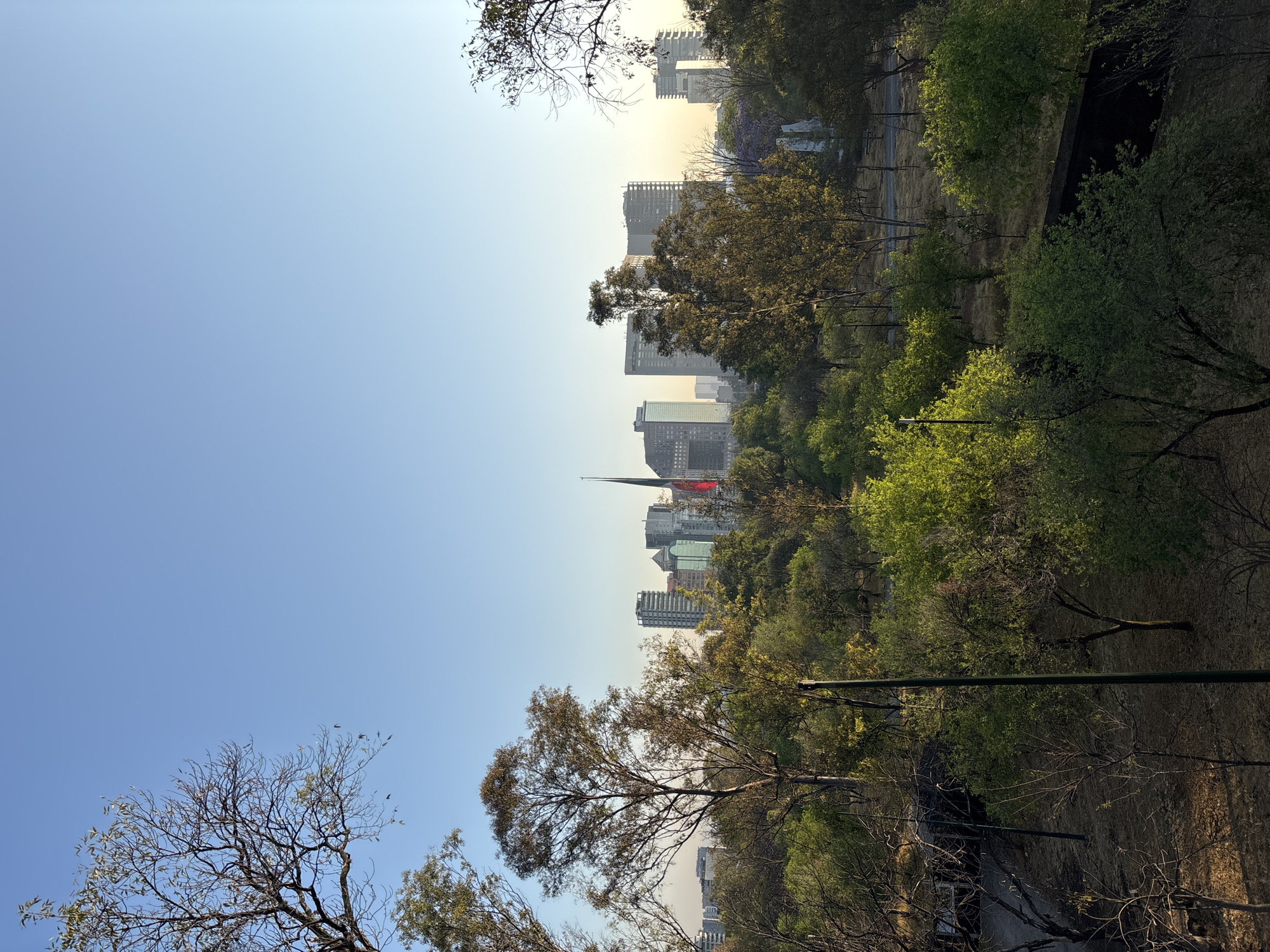 The image shows a park scene with a view of a city skyline in the background. The foreground is filled with trees and vegetation, some bare-branched and others with lush green foliage. The ground appears dry and brown. Beyond the park, a cluster of modern buildings of varying heights makes up the city skyline, partially obscured by trees. A prominent spire with a red and green flag atop a building stands out among the city's architecture. The sky is a clear blue with a slight gradient towards the horizon, suggesting either sunrise or sunset. There are utility poles visible in the mid-ground. The location is in the city of Unknown, Unknown.