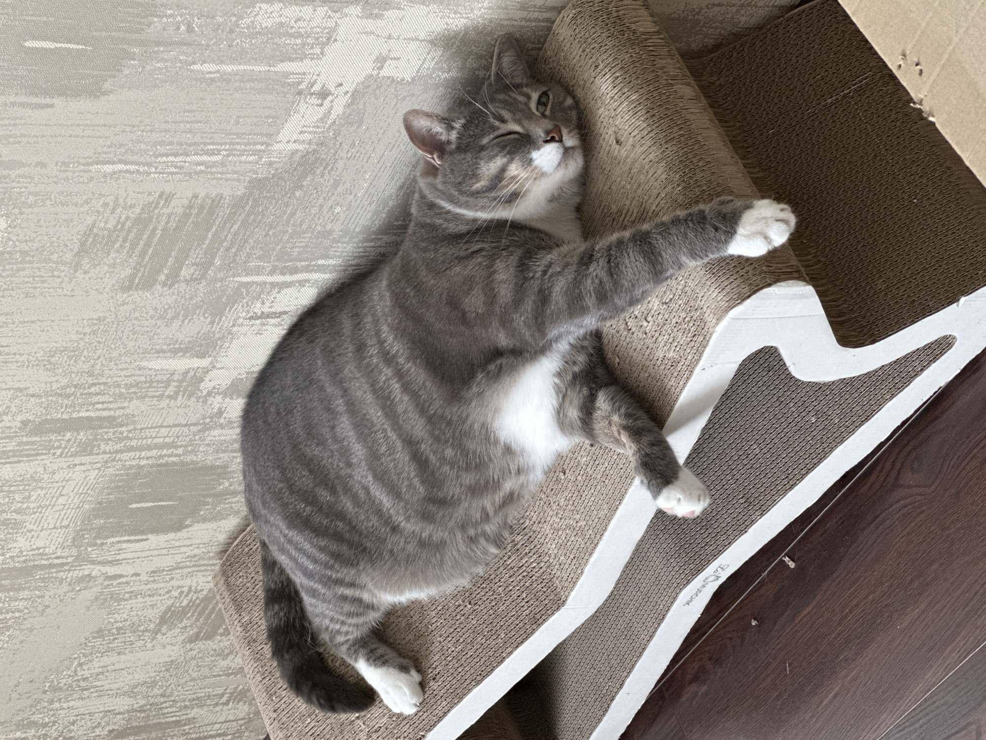 A grey and white tabby cat is lounging on a multi-tiered cardboard scratching post. The cat is lying on its side, with its eyes closed and its body stretched out. Its front paws are extended, and its hind legs are bent. The scratching post is light brown and has white trim. The background is a textured wall with a light beige and grey pattern. The floor is dark brown hardwood. The scene is indoors, likely in a residential setting, with no indication of a specific city or location.