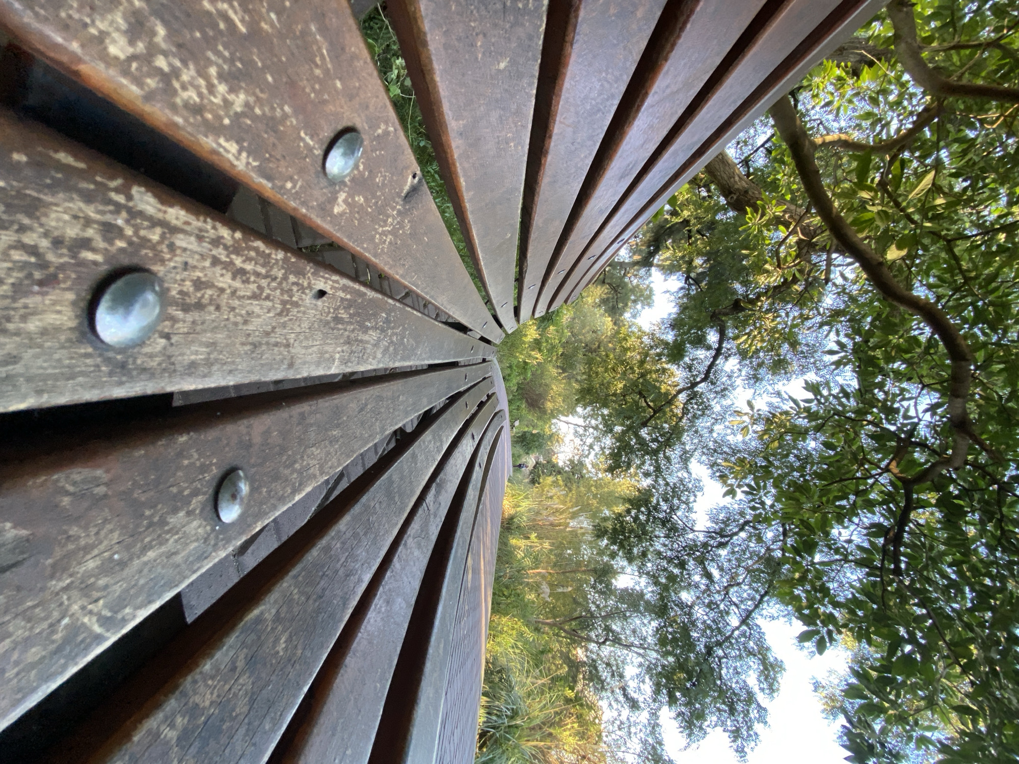 The image shows a park bench made of curved wooden slats, with visible metal fasteners. The view is angled upwards, showcasing the bench receding into the background of green trees and foliage against a bright sky. The location is likely a park or garden setting within Buenos Aires, Argentina. No people are visible.