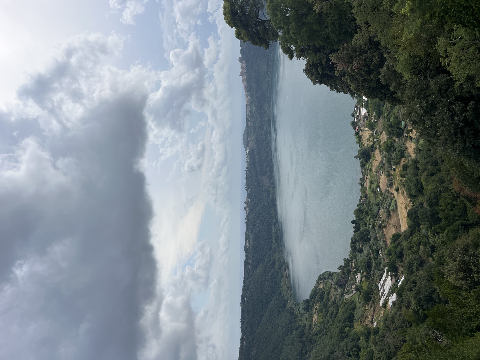 An elevated view captures Lake Nemi in Nemi, Italy, under a cloudy sky. The expansive, calm lake dominates the center of the frame, its surface reflecting the muted light. Lush green, densely forested hillsides slope down to the water's edge, dotted with a few scattered buildings and agricultural plots. A small town or village is visible on the far side of the lake, nestled on a distant hillside. The foreground is filled with the dark green foliage of trees and bushes, creating a natural frame for the scene. The overall impression is one of natural beauty and tranquility, with a hint of human presence in the landscape.