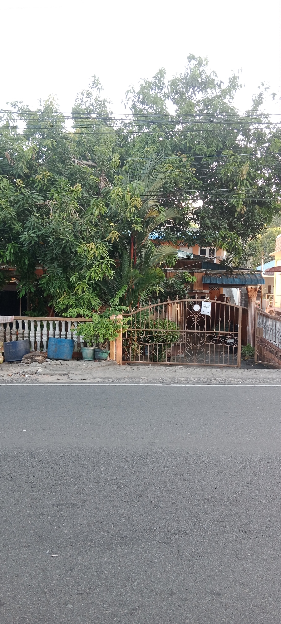 The image depicts a street scene in Tanjung Pinang, Indonesia, characterized by lush vegetation and residential architecture. In the foreground, a gray asphalt road occupies the lower portion of the frame. Behind the road, a white concrete fence with vertical posts runs horizontally across the image, separating the street from a property.
To the left of the fence, two large blue plastic barrels and some debris are visible on the ground. Several potted plants, including some with green foliage, are placed along the fence line and the gate.
Dominating the mid-ground and background is a dense canopy of green trees, with large branches and abundant leaves. Peeking through the foliage are parts of a house. The house features an orange-colored wall, a blue-tiled roof, and windows with white frames. A decorative brown metal gate with an ornate design is the main entrance to the property. A white sign is attached to the gate.
To the right of the main gate, another section of the metal fence and a portion of another building with a light-colored wall and a blue roof can be seen. The overall impression is that of a residential area in a tropical climate, with abundant greenery surrounding the homes. The sky is overcast, suggesting a cloudy day. No people are visible in the image.