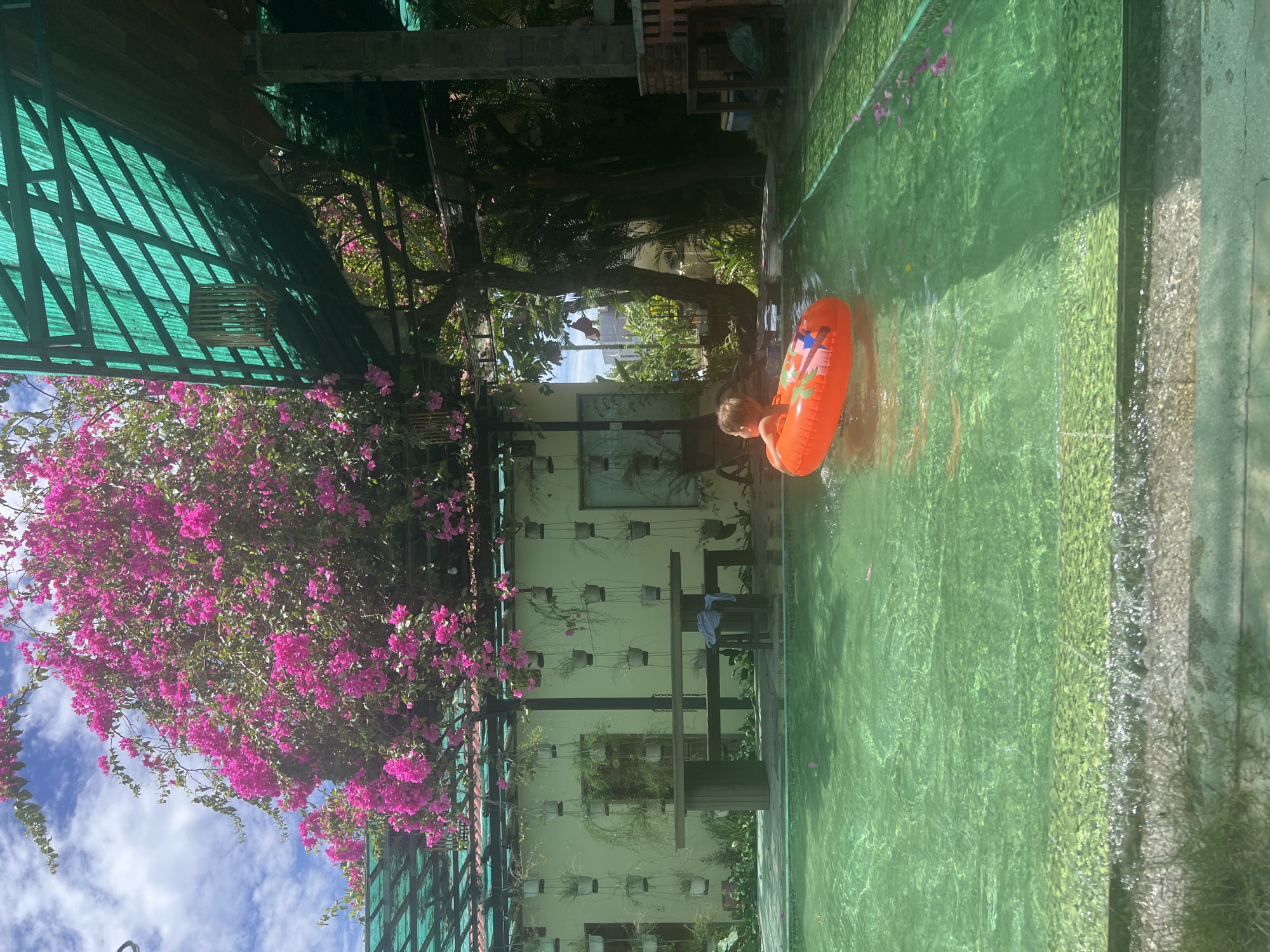 A young child wearing swim trunks is floating in a rectangular swimming pool with clear, green-tinted water. The child is partially submerged and facing away from the camera, positioned in the center-left of the frame. They are using an orange inflatable ring with colorful graphics, including palm trees. The pool area is partially covered by a green mesh roof supported by wooden structures and posts. Above the roof, bright pink bougainvillea flowers cascade down, partially obscuring the sky and the building behind them. The building has white walls adorned with hanging planters, and a wooden table and benches are visible near the edge of the pool. The environment appears to be a resort or guesthouse in Hoi An, Vietnam, suggested by the tropical foliage and architectural style.