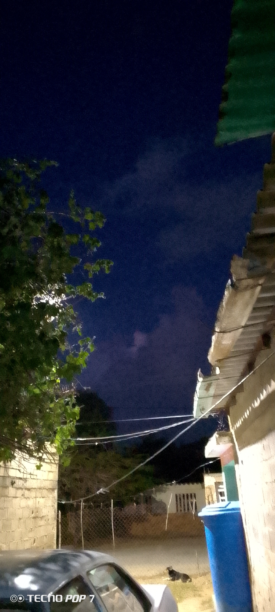 The image depicts a night scene in Altagracia, Venezuela, with a clear, dark blue sky dotted with faint clouds. To the left, the lush green foliage of a tree partially obscures the sky. In the foreground, a portion of a car is visible, with a watermark indicating "TECNO POP 7" in the bottom left corner. The background features a chain-link fence, some low-lying vegetation, and buildings constructed with concrete blocks. A bright blue trash bin stands to the right. In the middle ground, a dark-colored dog is lying on the ground. The overall impression is of a residential area at night.