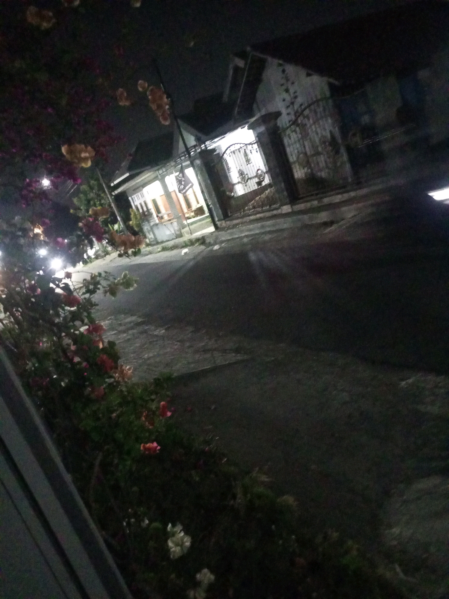 The image captures a night scene on a street in Ngasem, Indonesia. In the foreground, a cluster of bougainvillea flowers, with vibrant pink and orange hues, cascades down from the left side of the frame. Beyond the flowers, a residential house is visible, illuminated from within, with its gate open. The house features a white facade and a tiled roof. The street in front of the house is paved with asphalt and appears wet, reflecting the ambient light. A streetlamp is visible on the right side of the image. The overall atmosphere is dim and atmospheric, suggesting a quiet evening in a residential area.