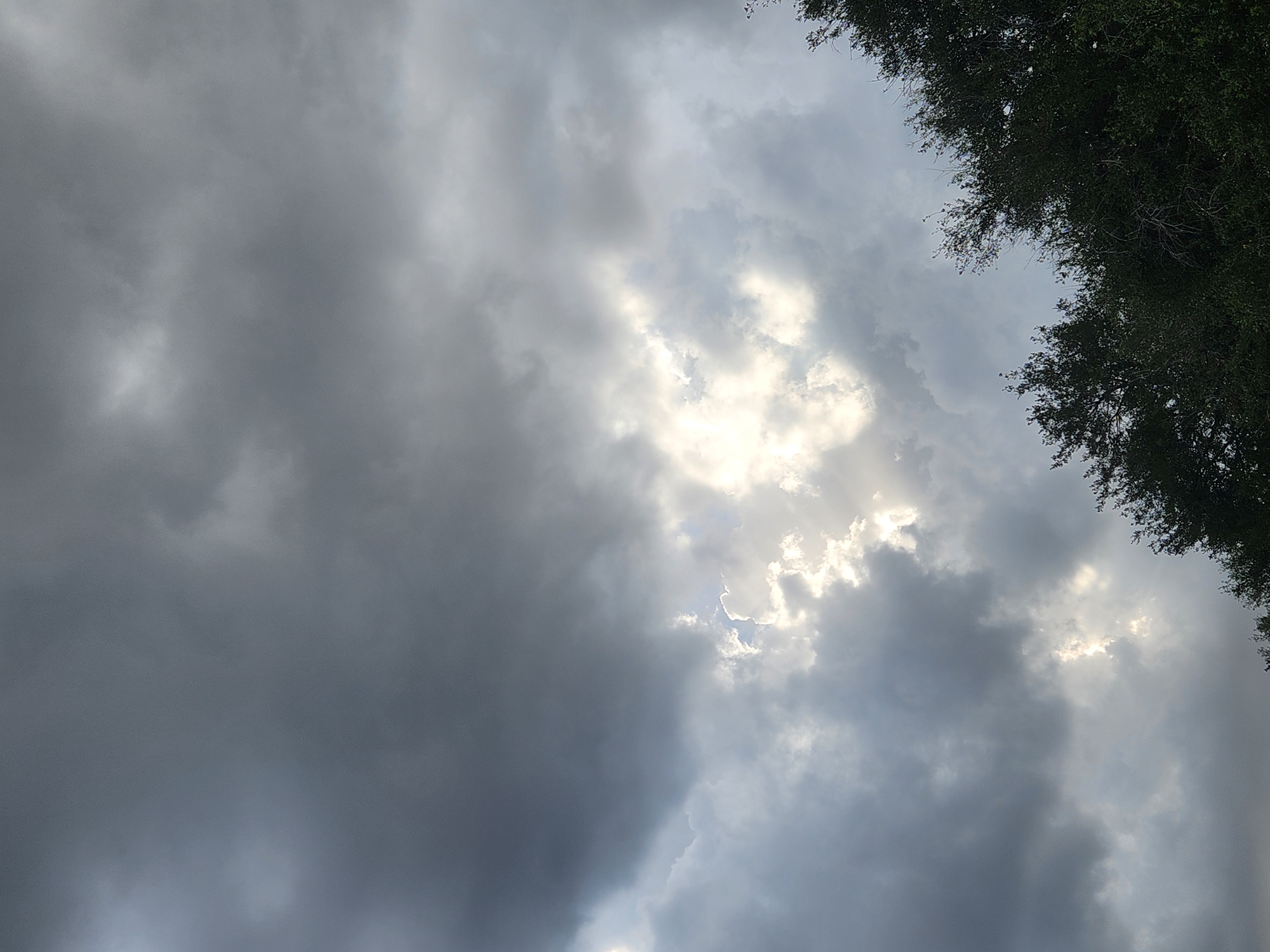 The image depicts a dramatic sky filled with dark, heavy clouds. Patches of bright sunlight break through, illuminating the clouds in a powerful, almost ethereal way. In the lower right portion of the image, the tops of lush green trees are visible, suggesting a natural or park-like setting. The overall impression is one of an approaching storm, with the sun fighting to break through the gloom. The location is Altamonte Springs, United States of America.