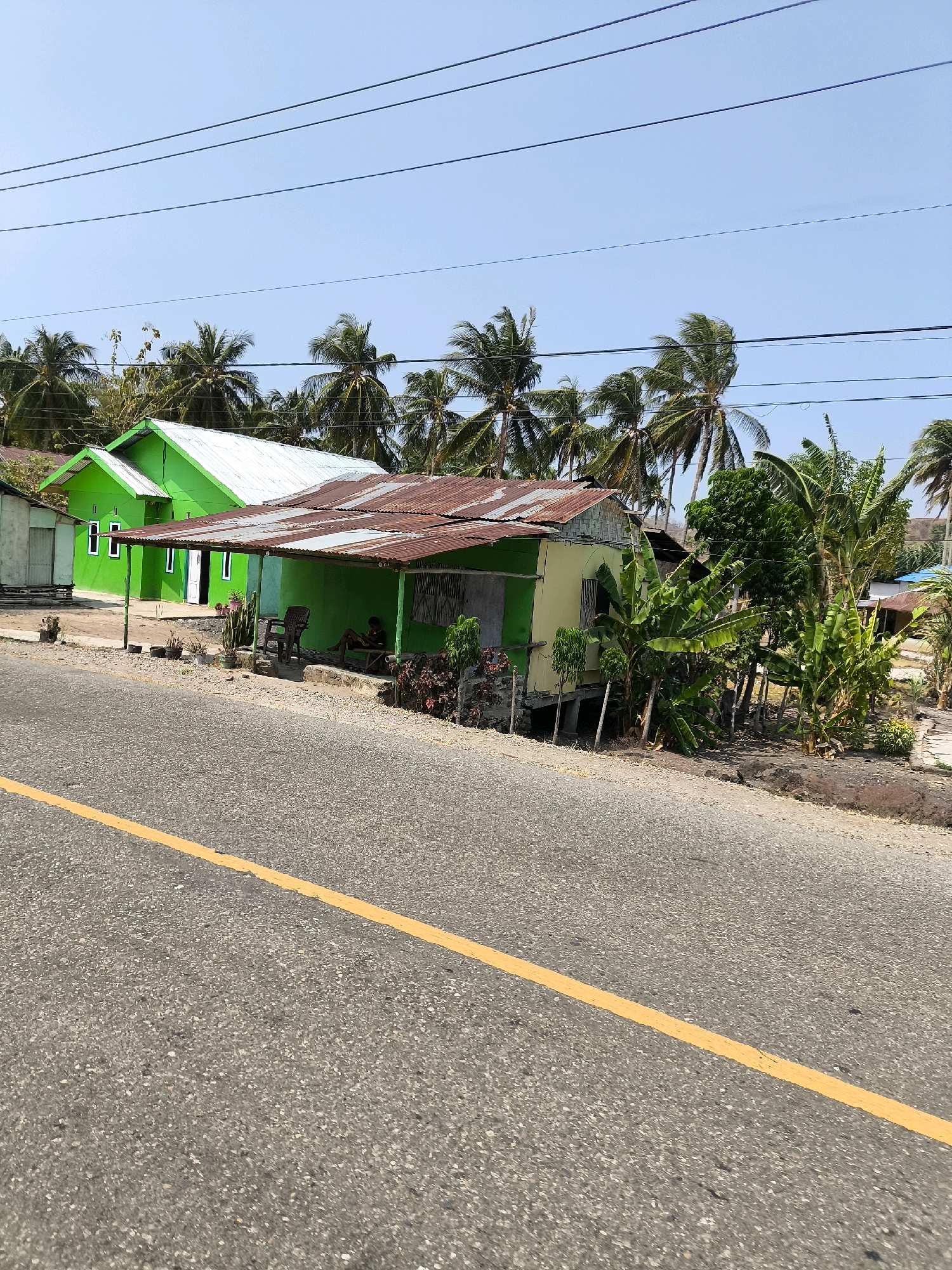 This is a photograph taken in the city of Kwandang, Indonesia, showcasing a rural roadside scene. In the foreground, a paved road with a yellow dividing line dominates the lower portion of the image. Beyond the road, several houses are visible, built close to the street. One house, painted bright green with a white metal roof, stands out with its modern appearance, featuring several windows. Adjacent to it, another house is partially visible, also green with a weathered, rusty corrugated metal roof. This second structure appears to be a simpler dwelling, possibly elevated on stilts, with an open-sided porch area. A person is seated on a chair under this porch, appearing to be resting or engaged in a quiet activity. Surrounding the houses are numerous palm trees, indicating a tropical or subtropical environment. The sky is clear and blue, suggesting a sunny day. The overall impression is one of a humble, tropical community situated along a rural road.