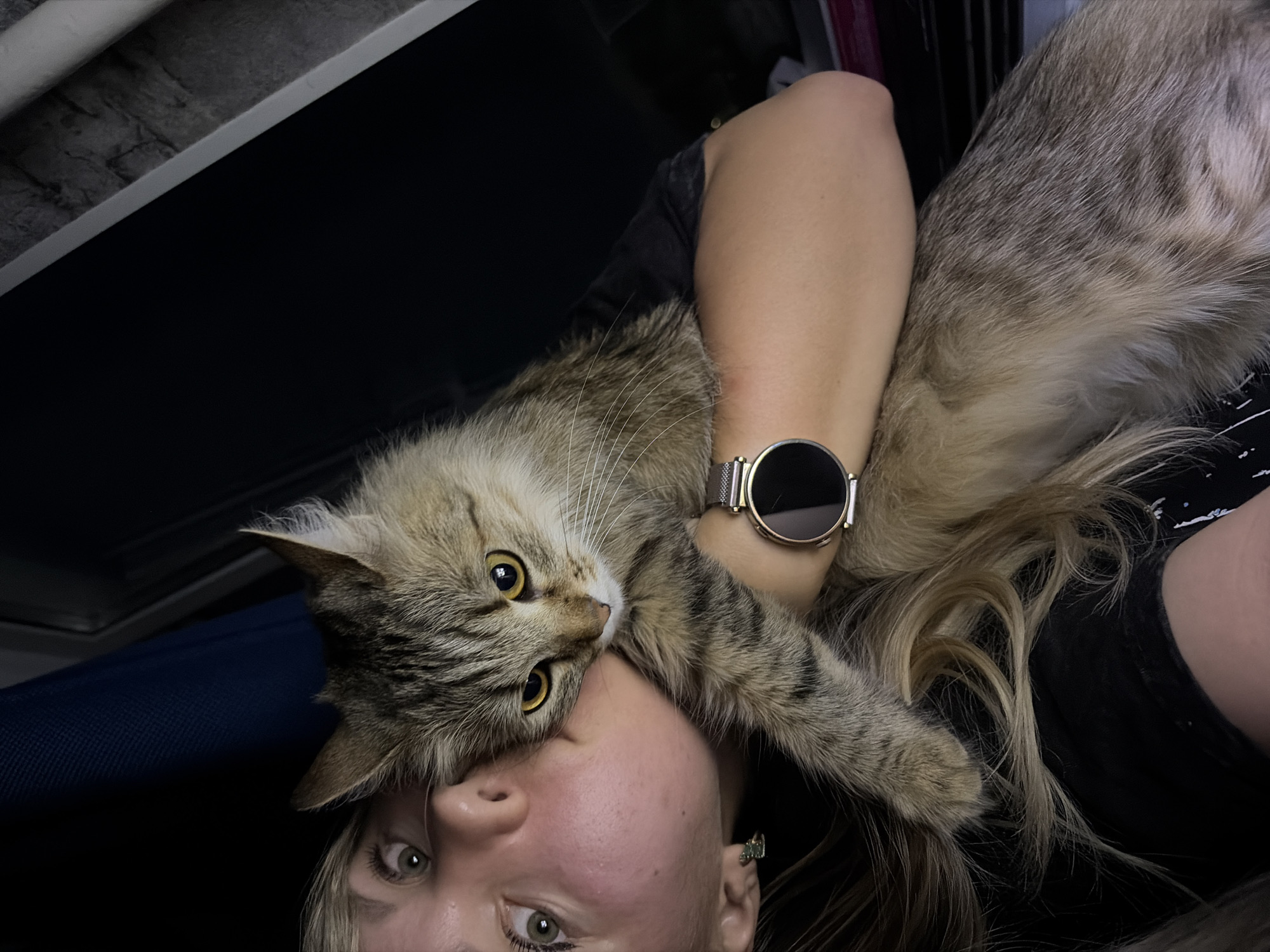 The image shows a close-up of a person and a cat, with the cat resting on the person's face and shoulder. The person's face is partially visible, with their eyes looking towards the camera. They have light-colored hair and are wearing a dark shirt and a watch on their wrist. The cat is a tabby with striking yellow eyes and is positioned with its head resting near the person's nose. The background is dark and out of focus, with hints of a blue surface and what appears to be dark shelving or furniture. The lighting suggests an indoor setting, possibly at night or in a dimly lit room. The overall mood appears affectionate and intimate, with the cat showing trust and comfort by resting so close to the person. There is no visible text in the image. The location context is Chaikovsky, Russia, but there are no specific visual cues in the image to confirm this.