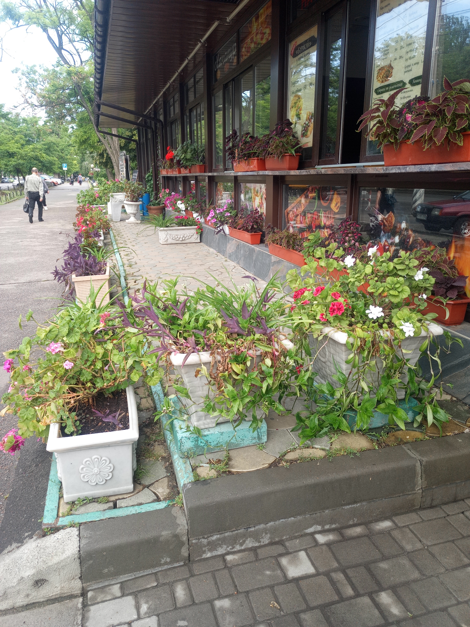 The image captures a sidewalk cafe with a row of planters filled with various flowering plants and foliage. The planters are positioned along the front of a building with large glass windows, displaying menus and advertisements. A man is walking away from the camera on the sidewalk, carrying a black briefcase. The scene appears to be on a street in Odesa, Ukraine, with trees and other buildings visible in the background. The sidewalk is paved with interlocking stones, and there is a curb separating it from the street.