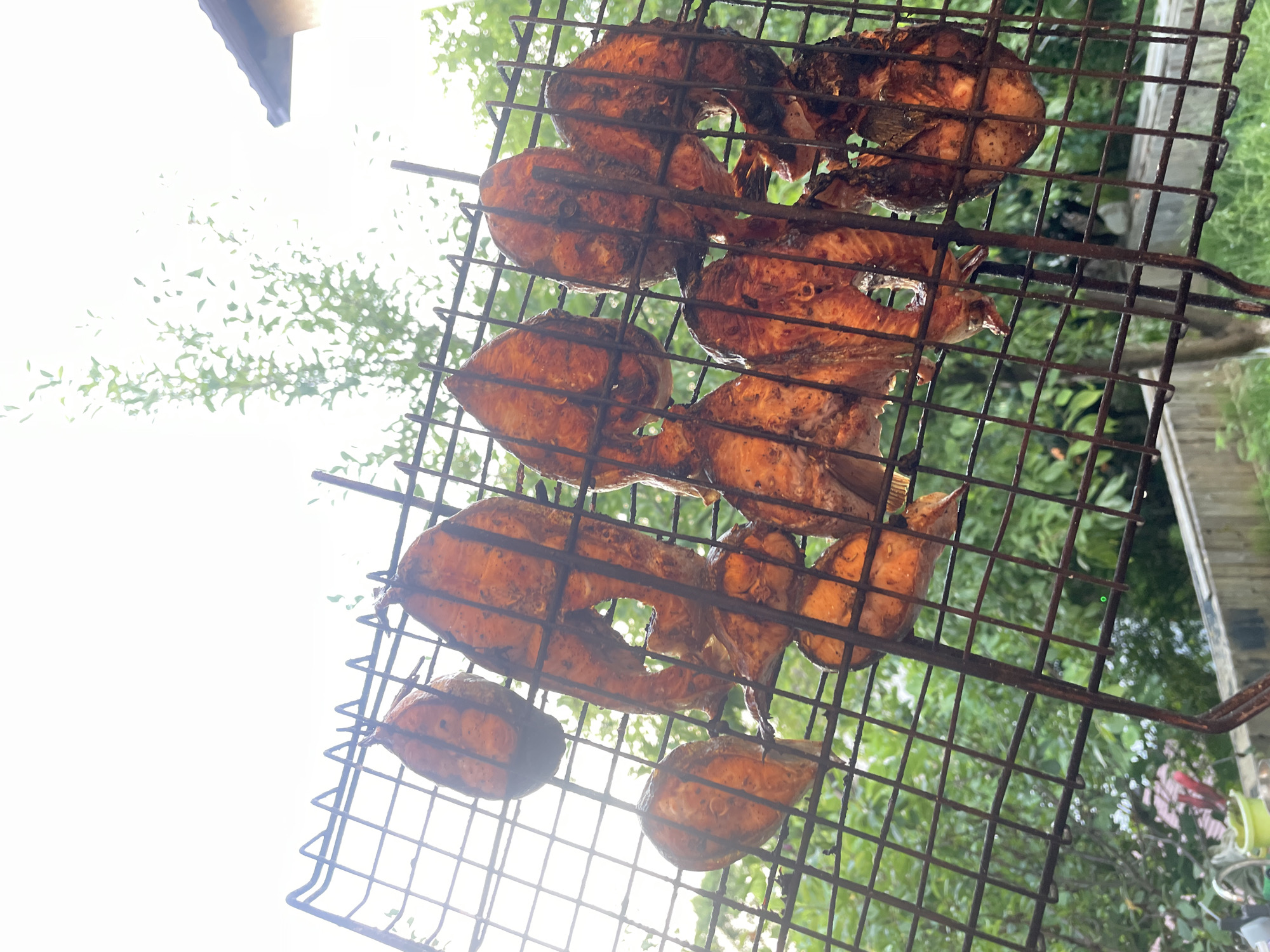 A close-up, high-angle shot captures several grilled salmon steaks arranged on a dark metal grill. The steaks are a deep orange-red color with visible grill marks, suggesting they are well-cooked. The grill is set against a bright, overcast sky, with blurred green foliage and hints of a building visible in the background. The overall lighting suggests an outdoor setting. The image does not contain any information related to Baranovka, Russia.