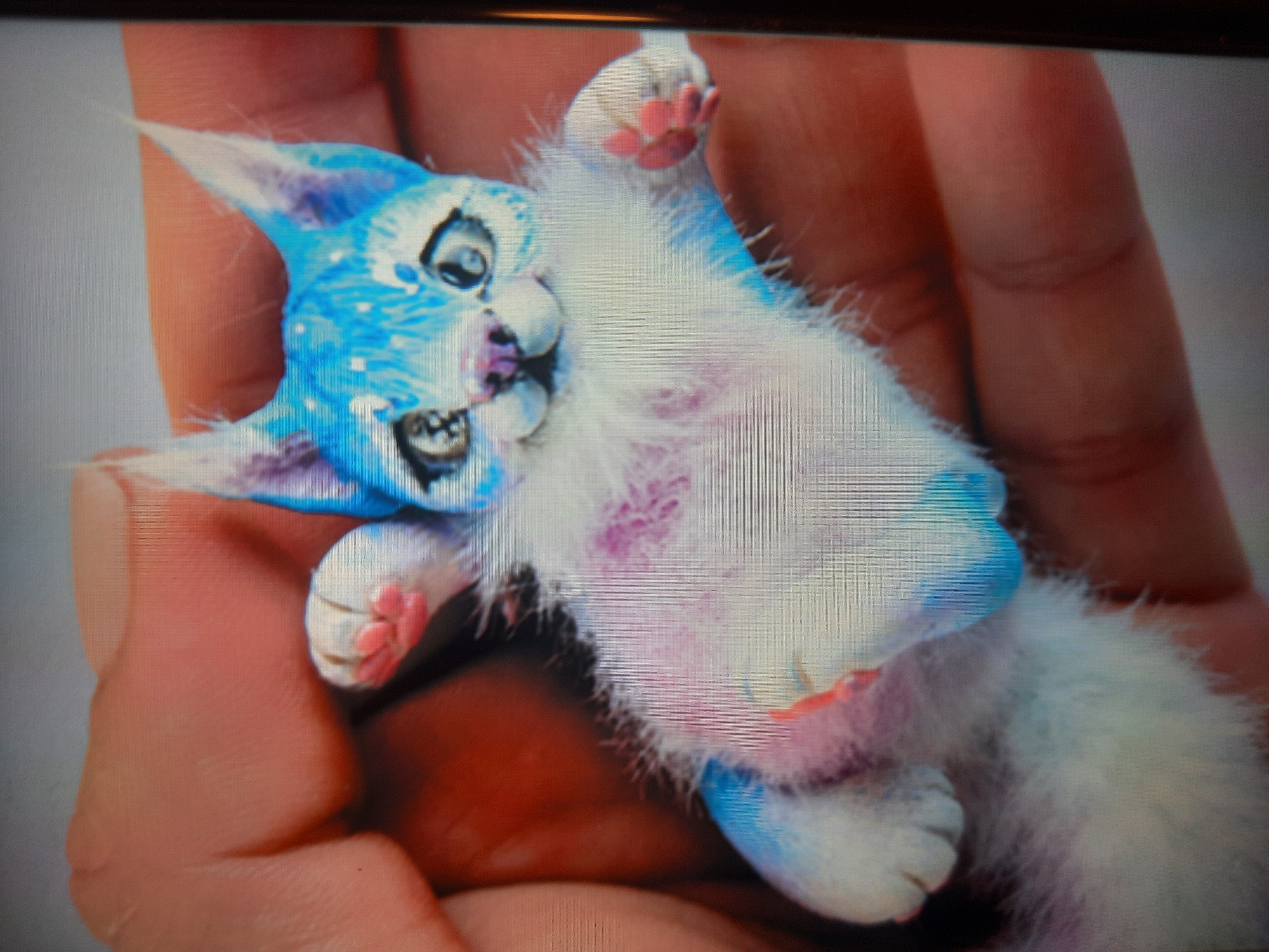 This is a close-up, high-angle, medium shot of a person's hand holding a small, blue and white, furry, anthropomorphic creature with large eyes. The creature has white fur on its chest and stomach, with pinkish-purple markings. Its paws are pink and have small claws. The background is out of focus and appears to be a neutral surface. The image does not contain any information about the city of Rosenheim, Germany.