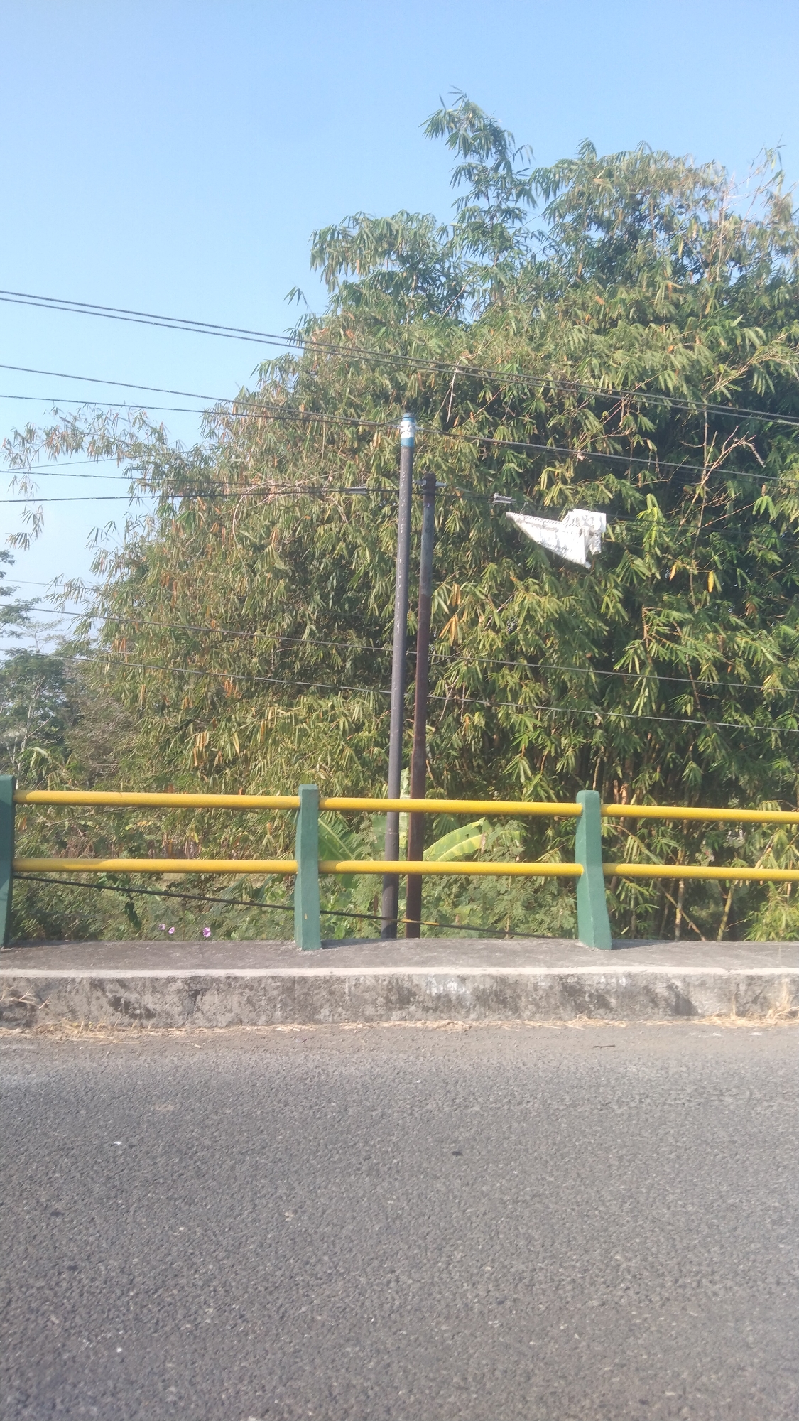 The image captures a roadside view in Argomulyo, Indonesia, on a clear day with a blue sky. In the foreground, an asphalt road dominates the lower portion of the frame, with a concrete curb and a yellow and green striped railing along the side. Behind the railing, dense bamboo trees form a thick green backdrop, with some bare branches visible. A tall, dark utility pole stands vertically in the middle of the bamboo grove. A piece of white material, possibly fabric, is snagged on a branch or wire within the trees. Power lines crisscross the upper part of the scene. The overall impression is of a semi-rural or suburban environment with natural vegetation bordering a road.